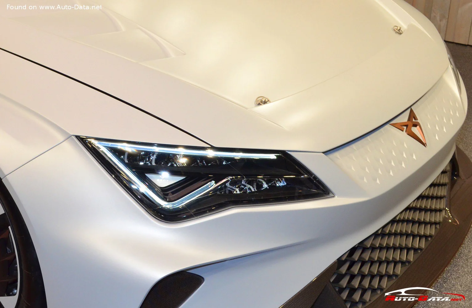 Cupra E-Racer 65.6 kWh (680 Hp)2020 - thumbnail 10