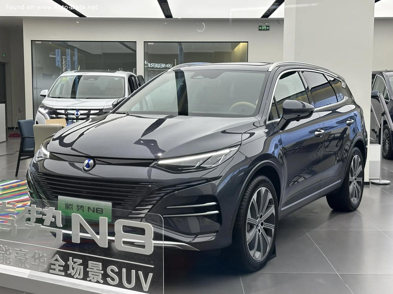 Denza X/N8 modeli