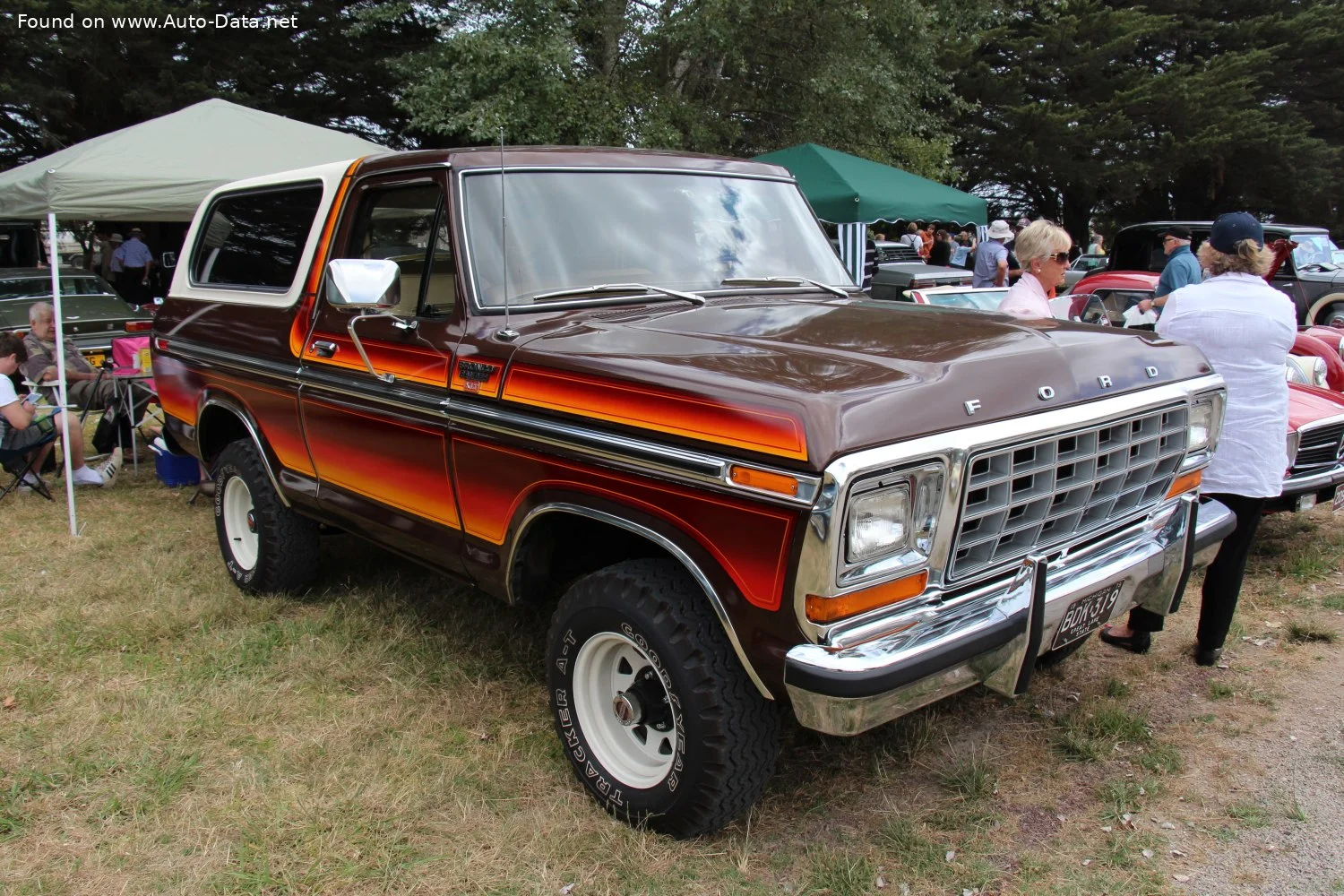 Ford Bronco 5.8 V8 (160 Hp) AWD1978 - 1979 thumbnail 3
