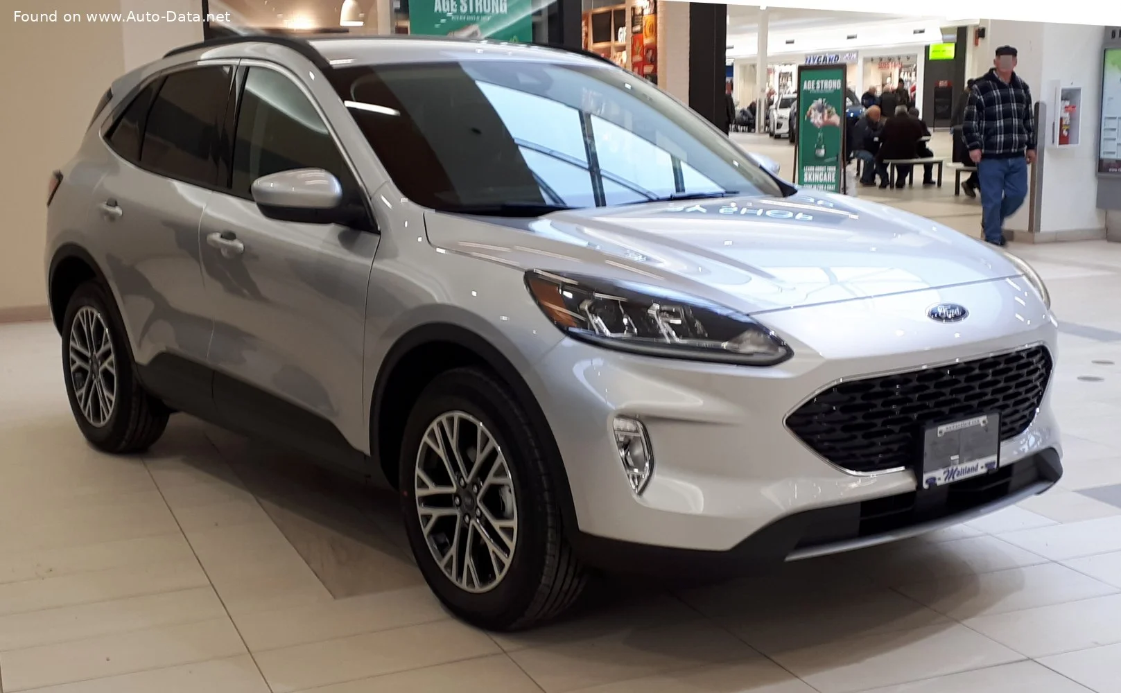 Ford Escape 1.5 EcoBoost (180 Hp) Automatic2019 - 2022 thumbnail 8