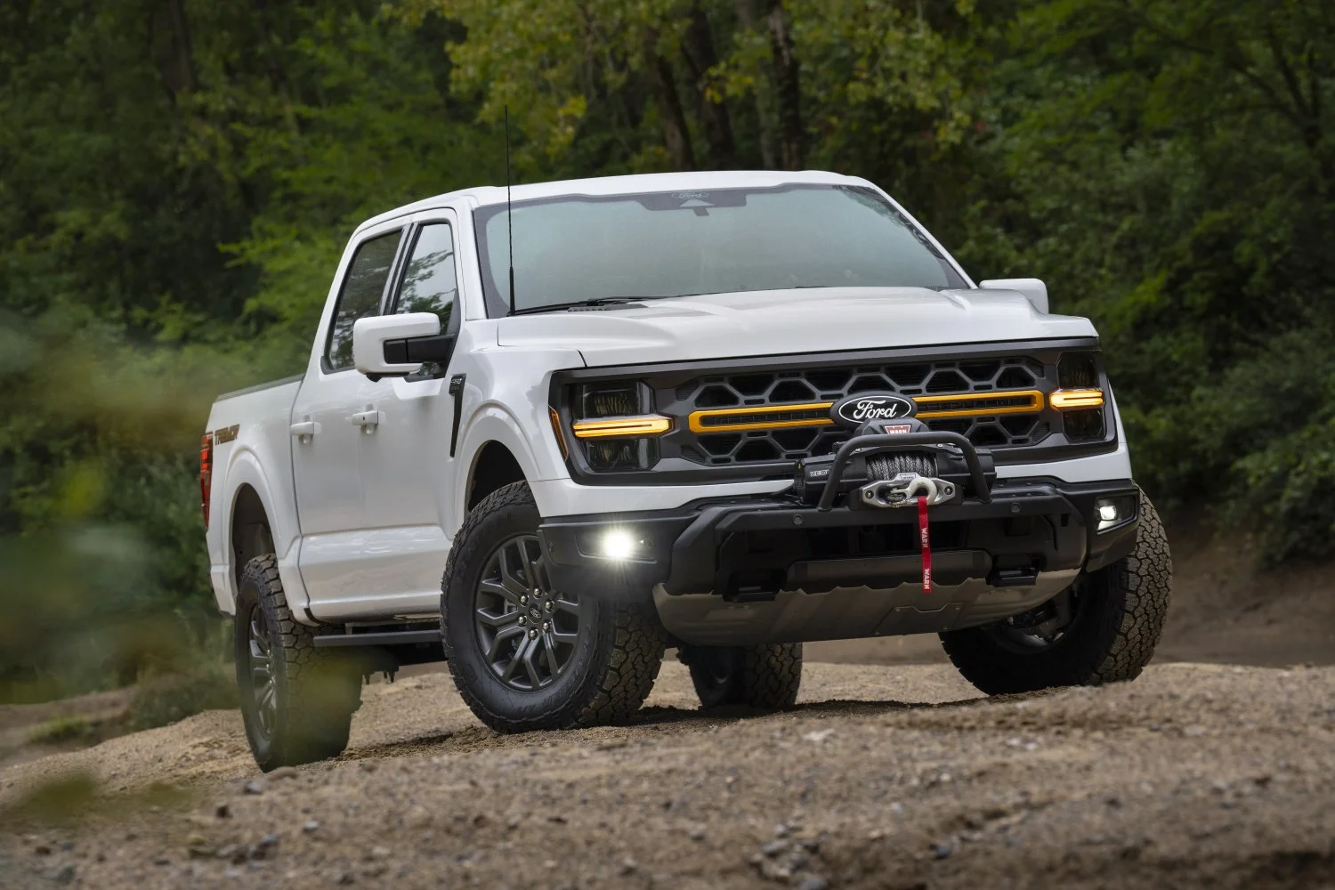 Ford F-Series F-100/F-150 modeli