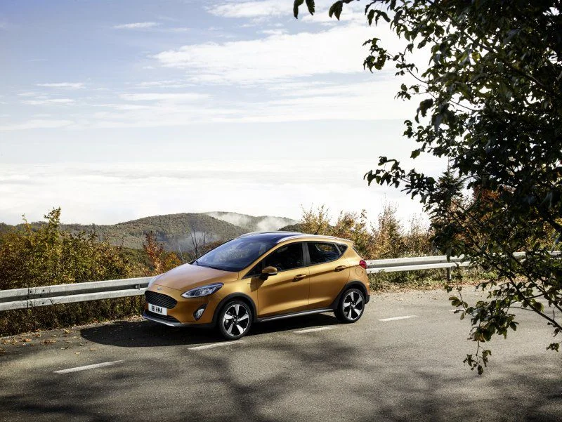 Ford Fiesta 1.0 EcoBoost (100 Hp)2018 - 2021 thumbnail 11