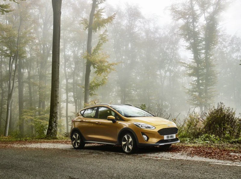 Ford Fiesta 1.0 EcoBoost (100 Hp)2018 - 2021 thumbnail 6