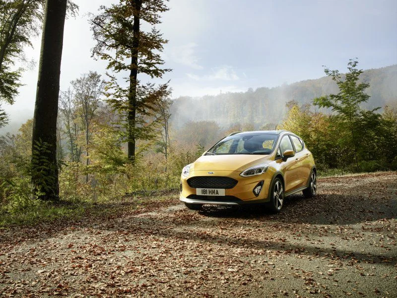 Ford Fiesta 1.0 EcoBoost (100 Hp)2018 - 2021 thumbnail 7