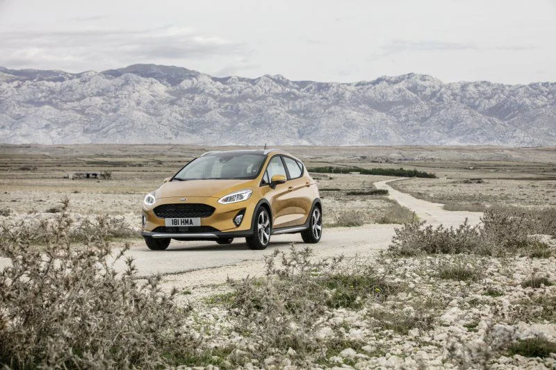 Ford Fiesta 1.0 EcoBoost (100 Hp)2018 - 2021 thumbnail 8