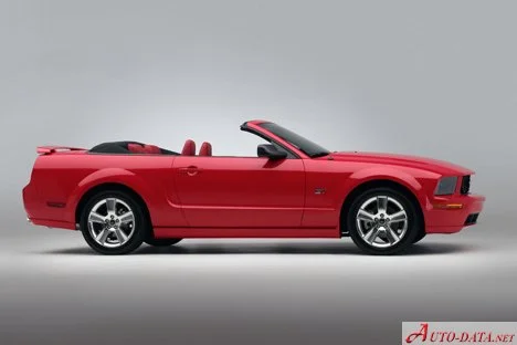 Ford Mustang 4.0 i V6 12V (212 Hp)2005 - 2009 thumbnail 16