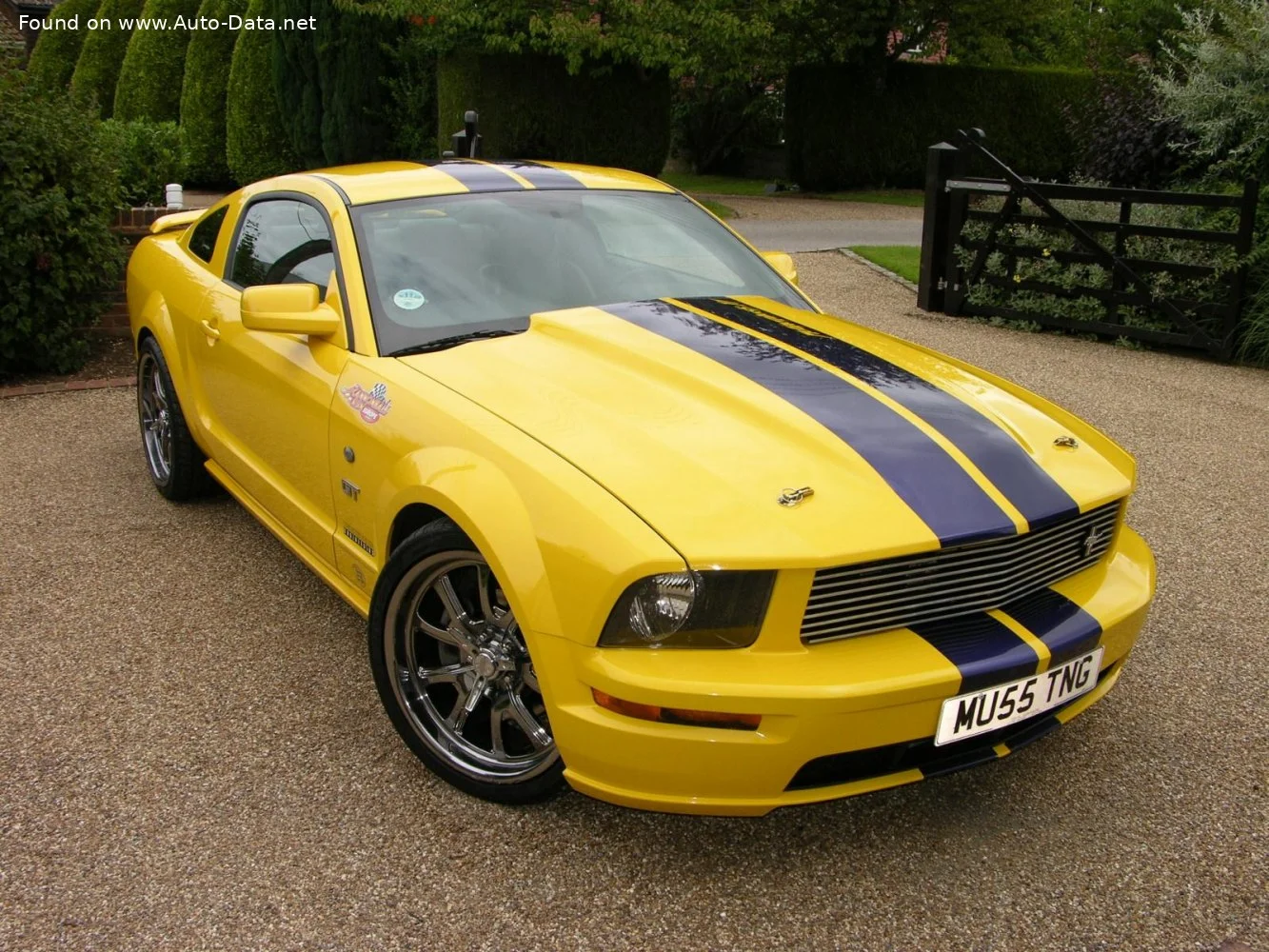 Ford Mustang 4.0i V6 12V (212 Hp)2005 - 2009 thumbnail 13