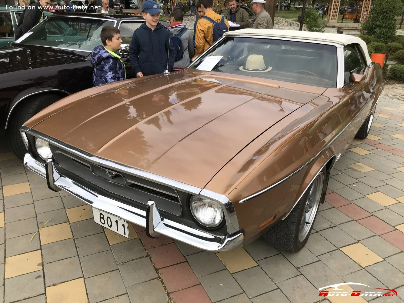 Ford Mustang 4.1 (145 Hp)1970 - 1973 - 1