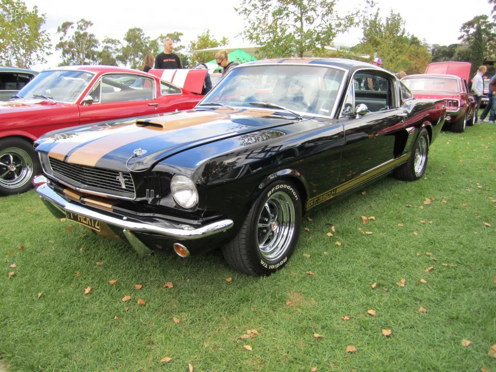 Ford Shelby Cobra GT 350 5.0 V8 (254 Hp)1968 - 1970 - 1