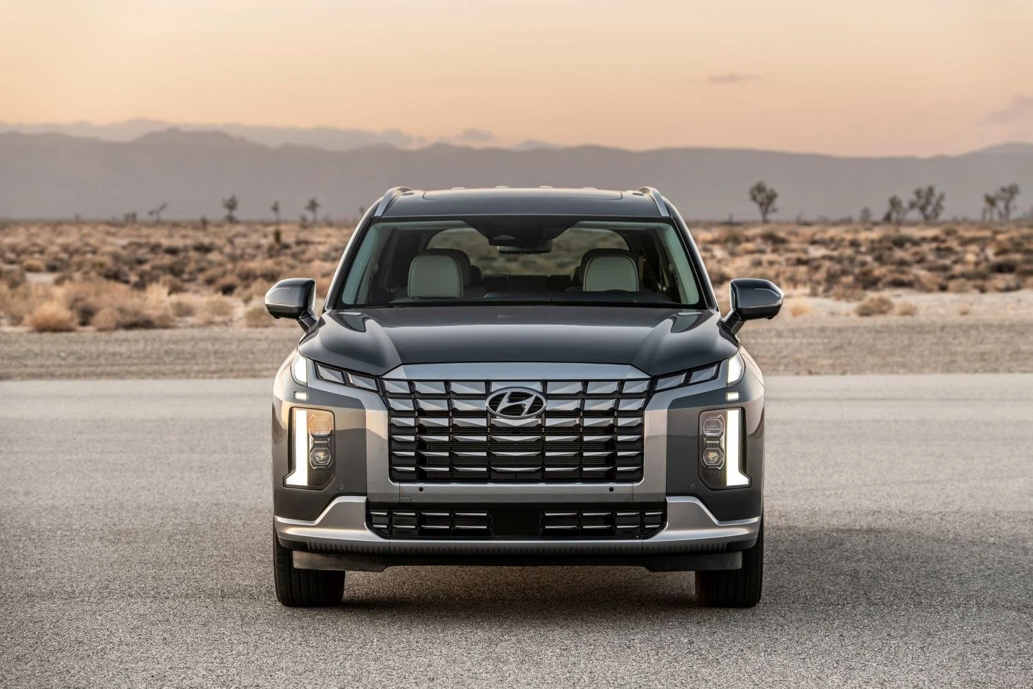Hyundai Palisade 3.8 GDI V6 (291 Hp) Automatic2022 - 2025 thumbnail 3