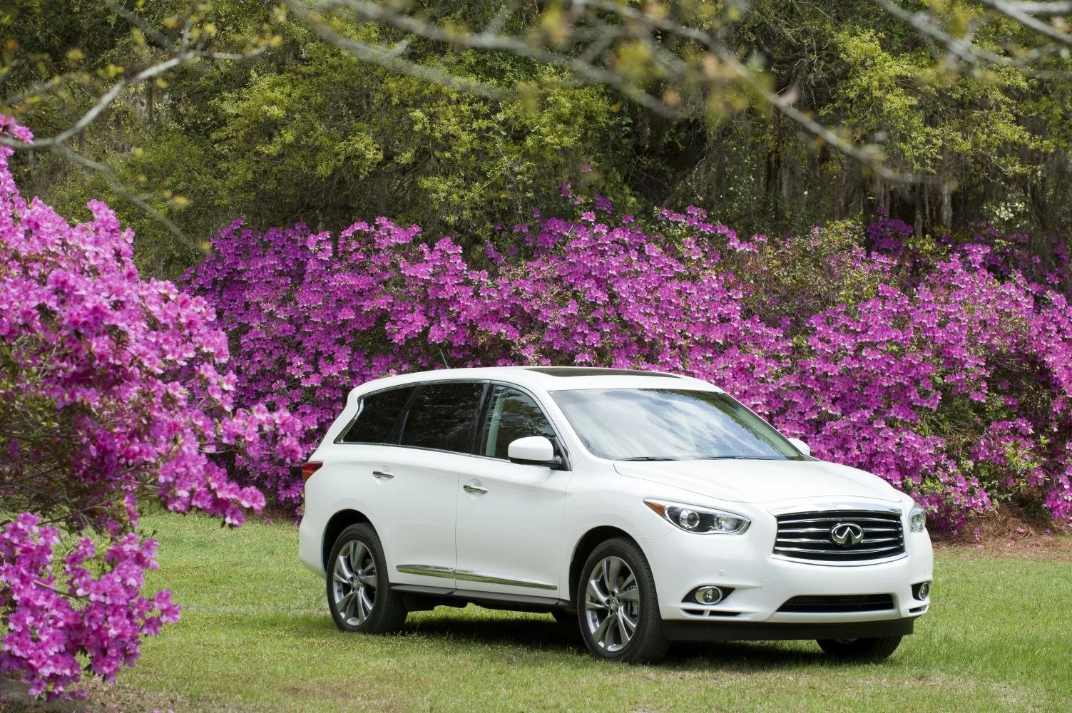 Infiniti JX 35 V6 (265 Hp) AWD CVT2012 - 2013 thumbnail 11