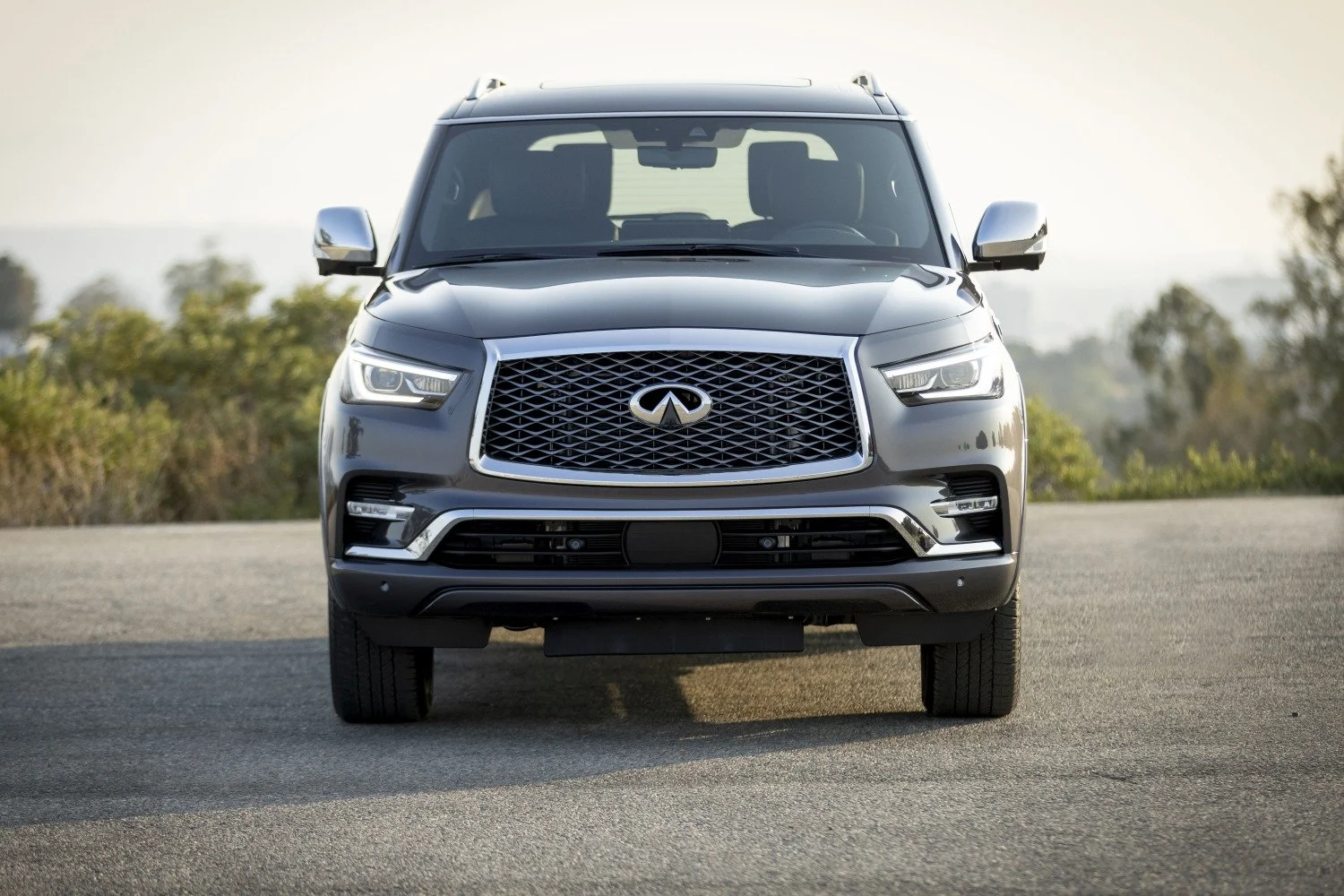 Infiniti QX80 5.6 V8 (400 Hp) Automatic2017 - 2024 thumbnail 16