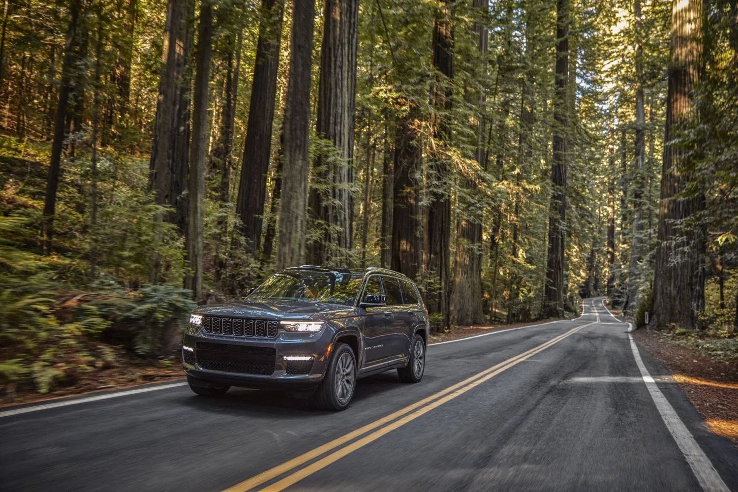 Jeep Grand Cherokee 3.6 V6 Pentastar (290 Hp) 4x4 TorqueFlite2021 - thumbnail 2