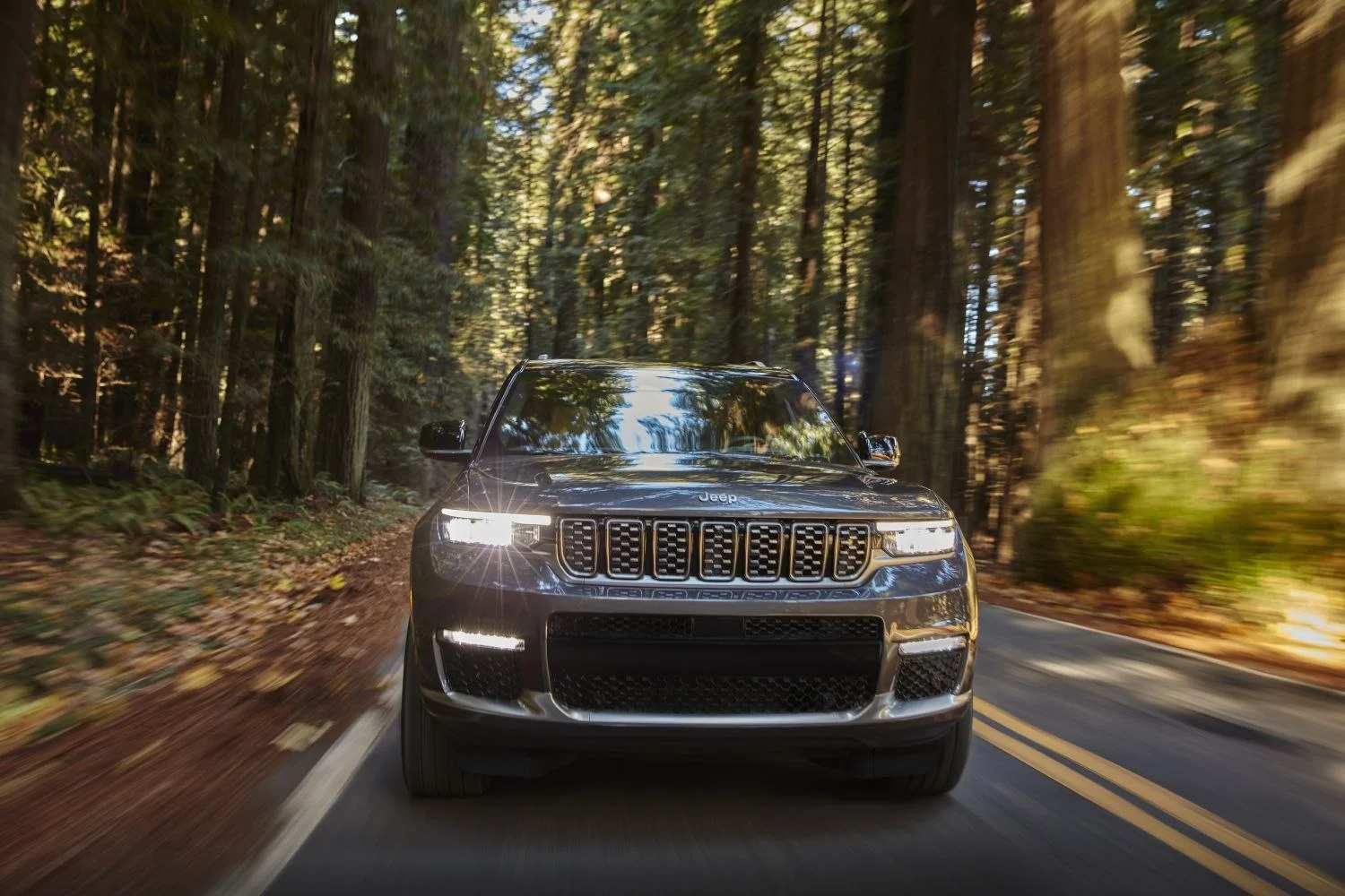 Jeep Grand Cherokee 3.6 V6 Pentastar (290 Hp) 4x4 TorqueFlite2021 - thumbnail 14