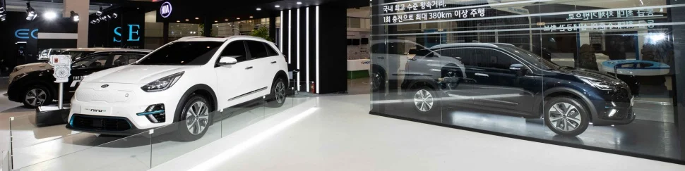 Kia Niro 1.6 GDI (141 Hp) Hybrid DCT2019 - 2022 thumbnail 15