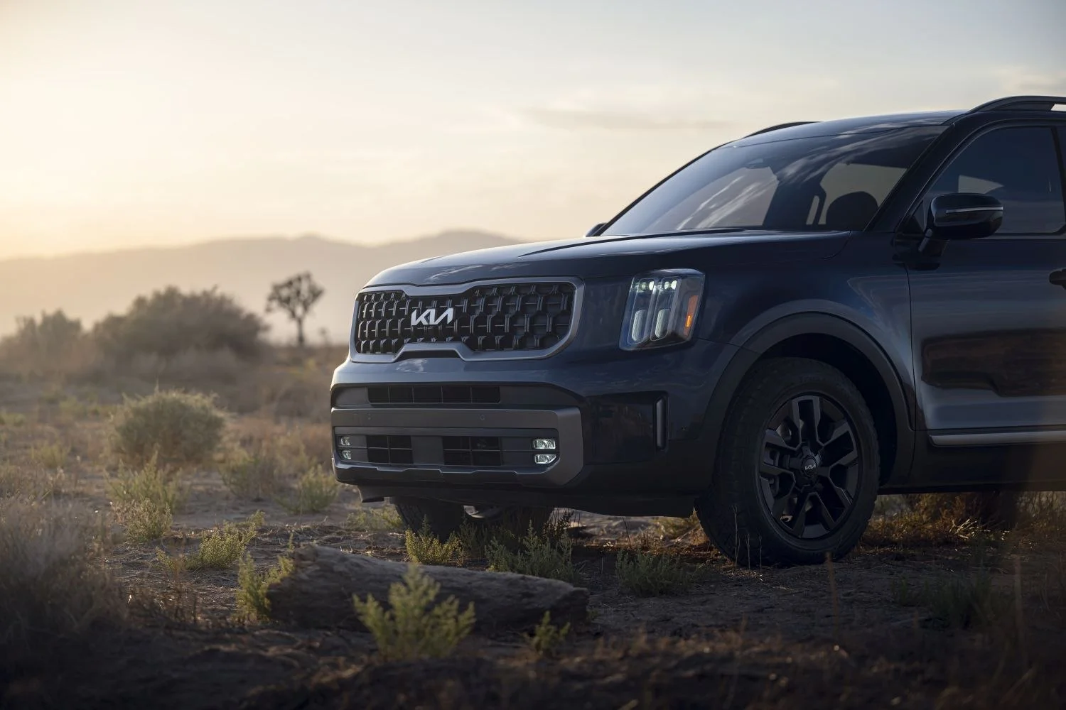 Kia Telluride 3.8 GDI V6 (291 Hp) Automatic2023 - thumbnail 14