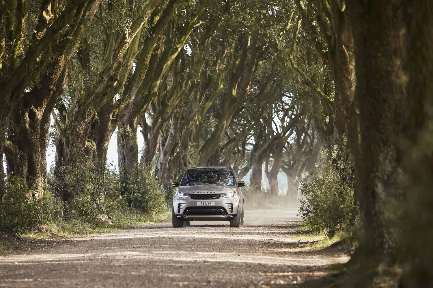 Land Rover Discovery 2.0 P300 (300 Hp) AWD Automatic2020 - thumbnail 12