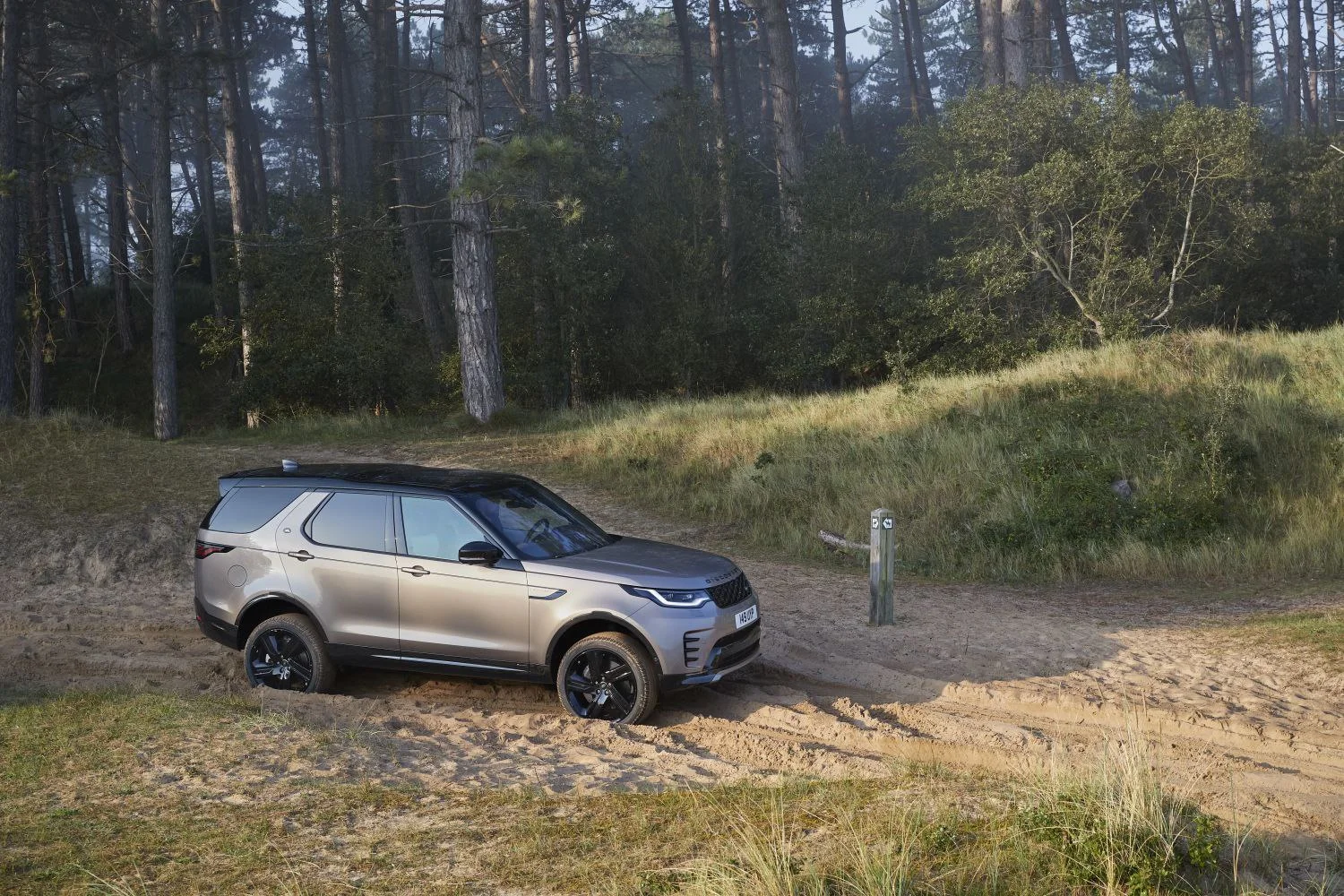 Land Rover Discovery 2.0 P300 (300 Hp) AWD Automatic2020 - thumbnail 15