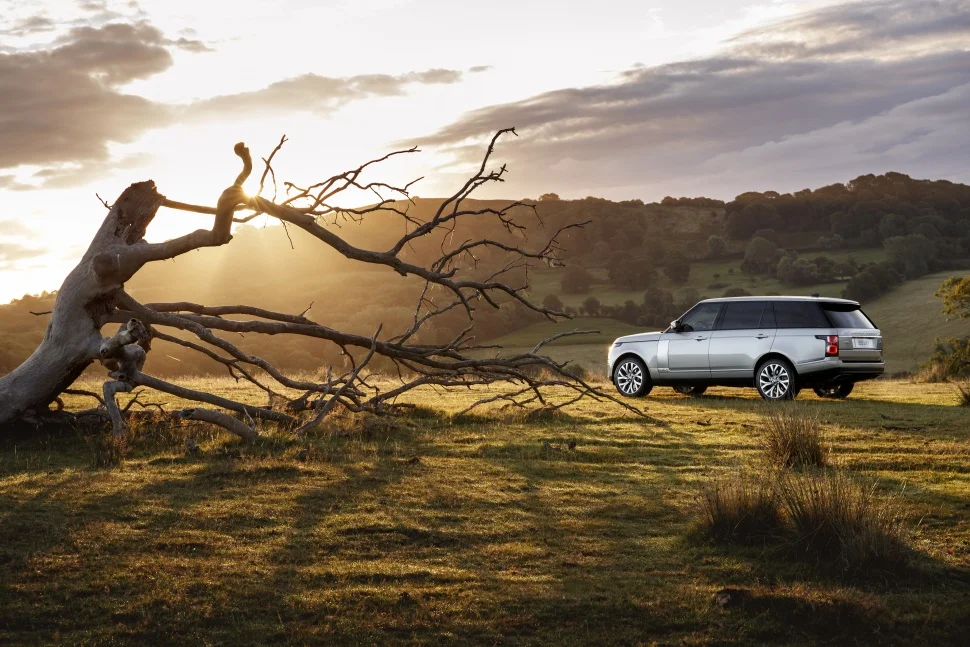 Land Rover Range Rover 3.0 D300 (301 Hp) Mild Hybrid AWD Automatic2020 - 2021 thumbnail 3