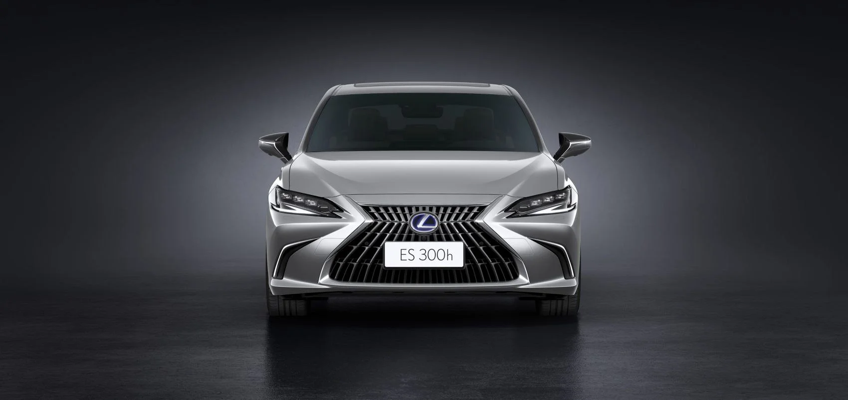 Lexus ES 250 (203 Hp) AWD Automatic2021 - 2025 thumbnail 12