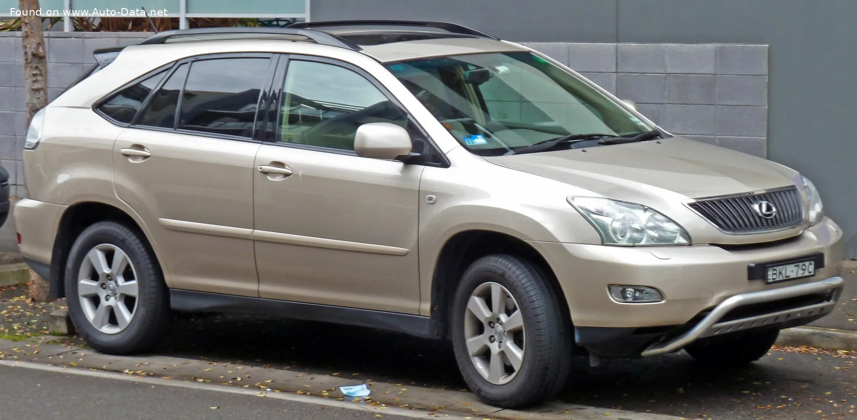 Lexus RX 300 4WD (204 Hp)2003 - 2009 thumbnail 7