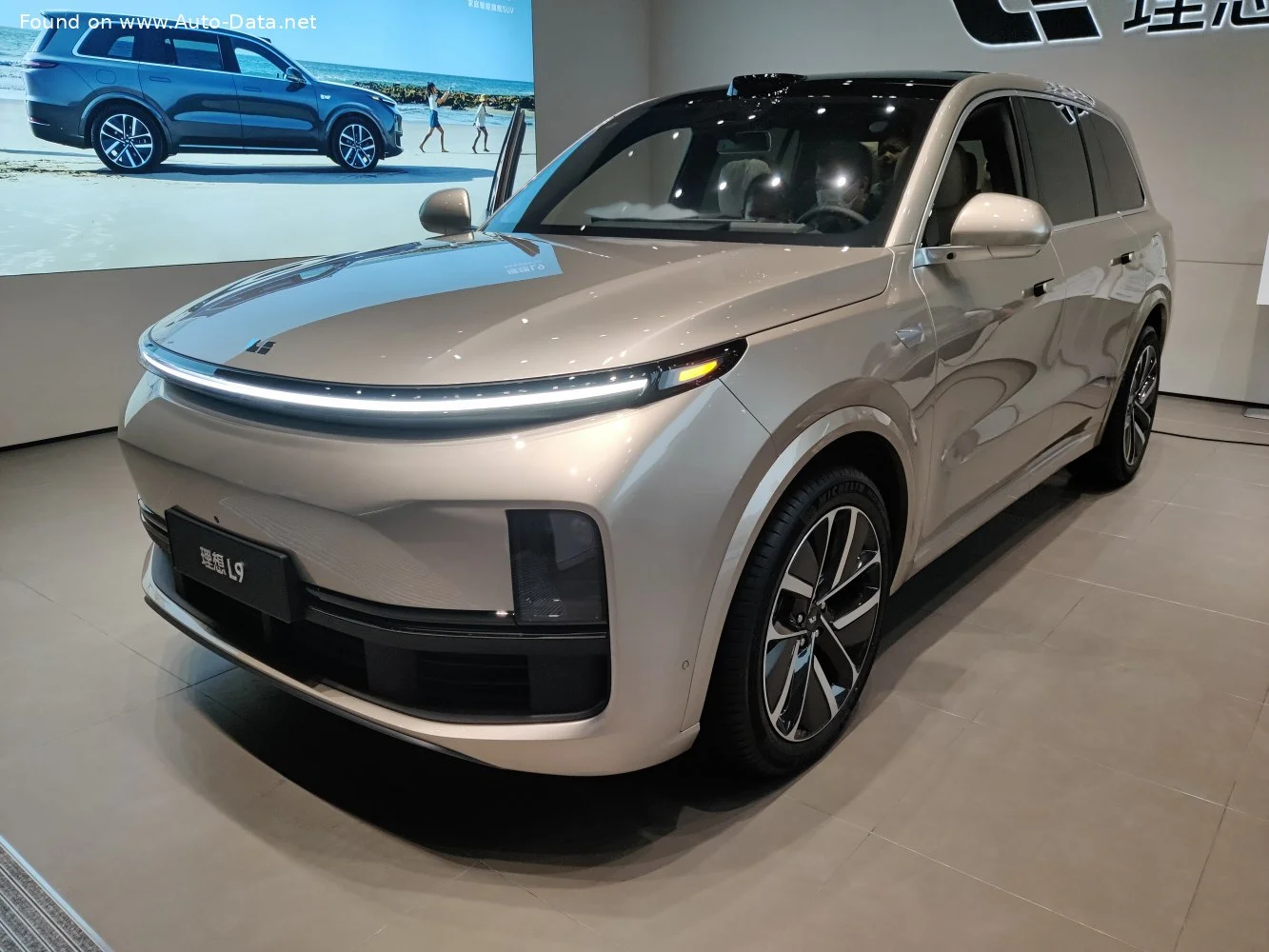 Li L9 modeli