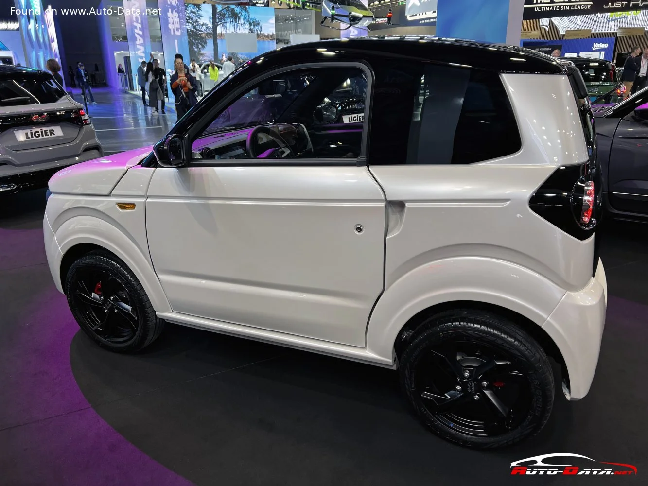 Ligier Myli 0.5 Diesel (8 Hp) CVT2024 - thumbnail 13