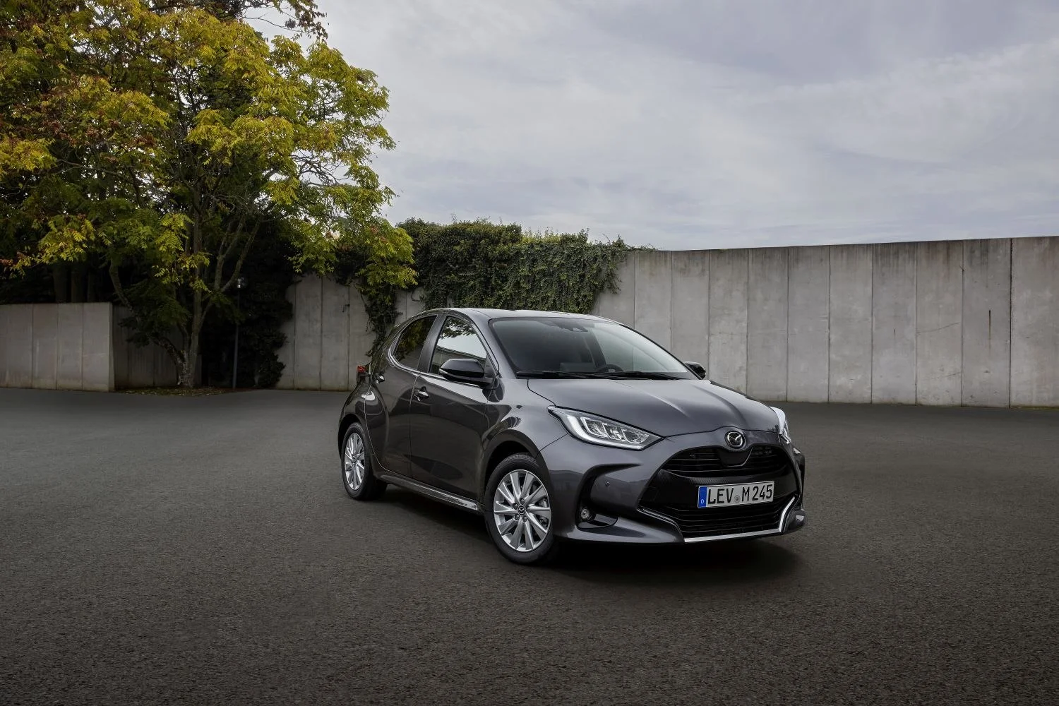 Mazda 2 1.5 (116 Hp) Hybrid CVT2022 - - 1