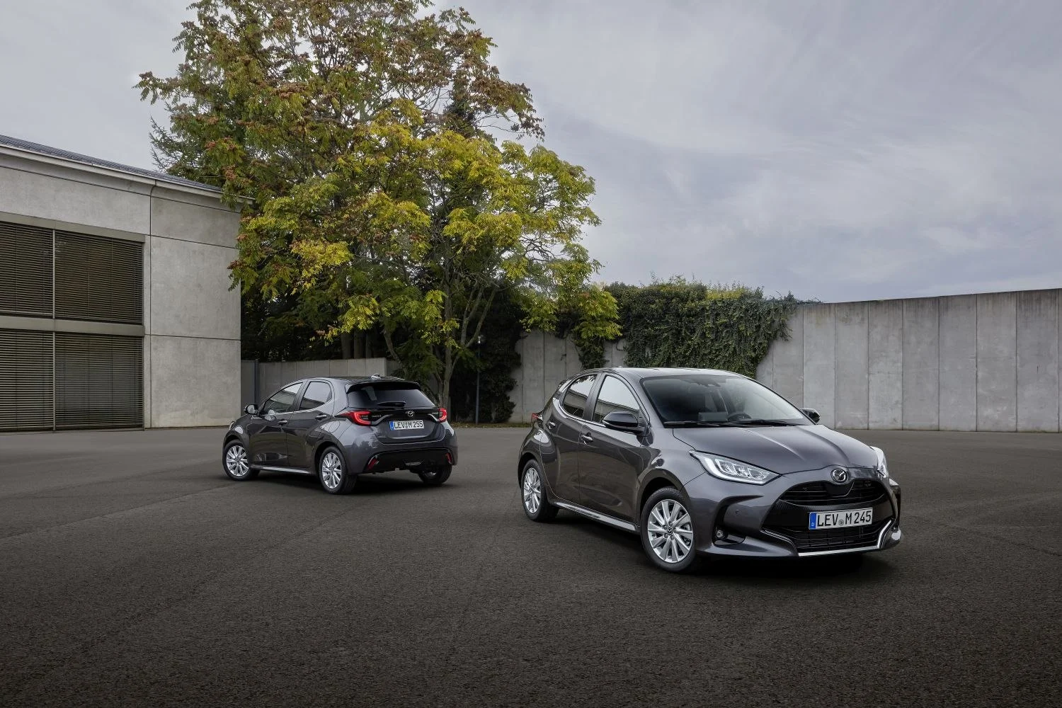 Mazda 2 1.5 (116 Hp) Hybrid CVT2022 - thumbnail 3
