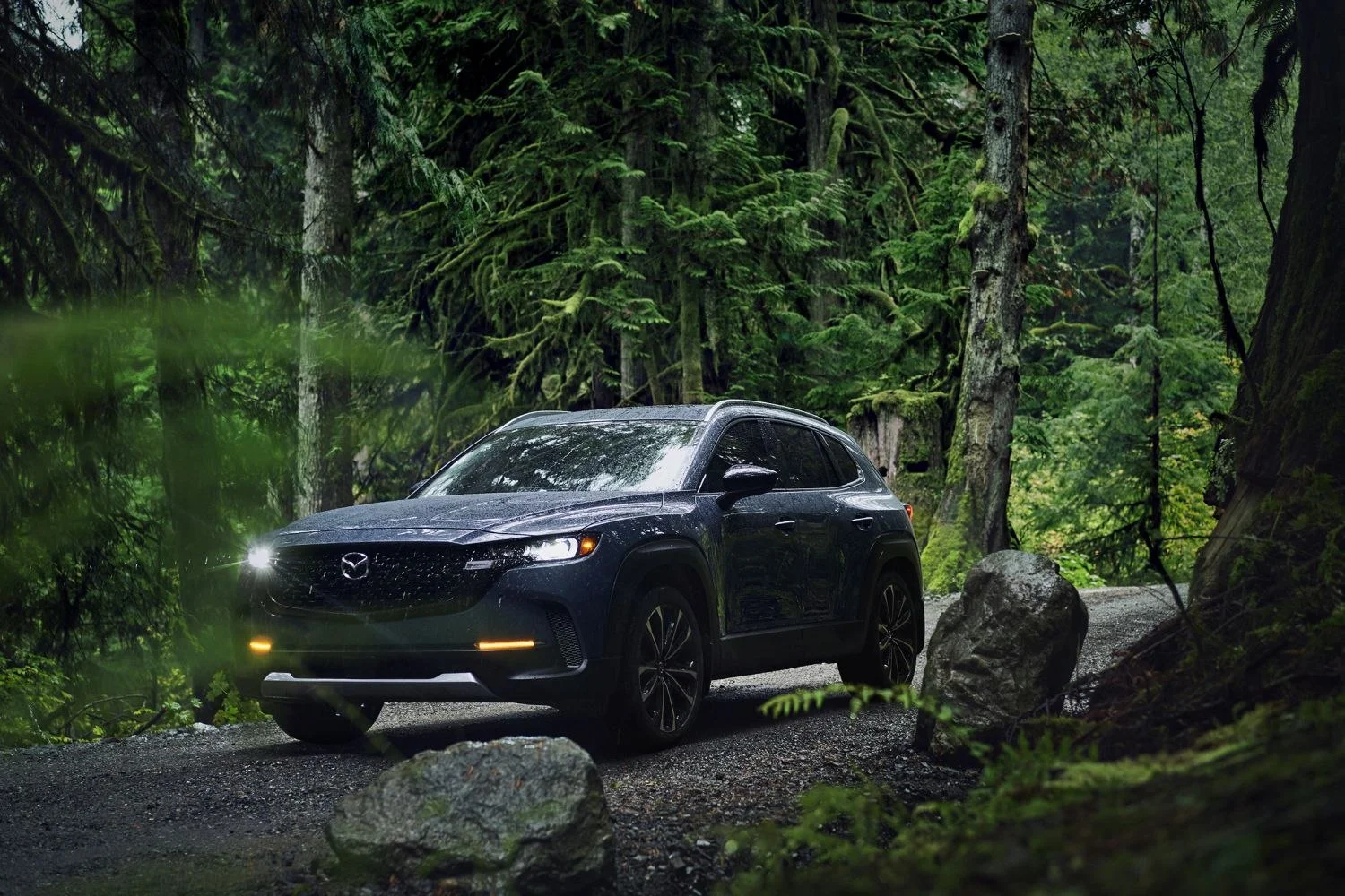 Mazda CX-50 2.5 (219 Hp) Hybrid eAWD eCVT2024 - - 1