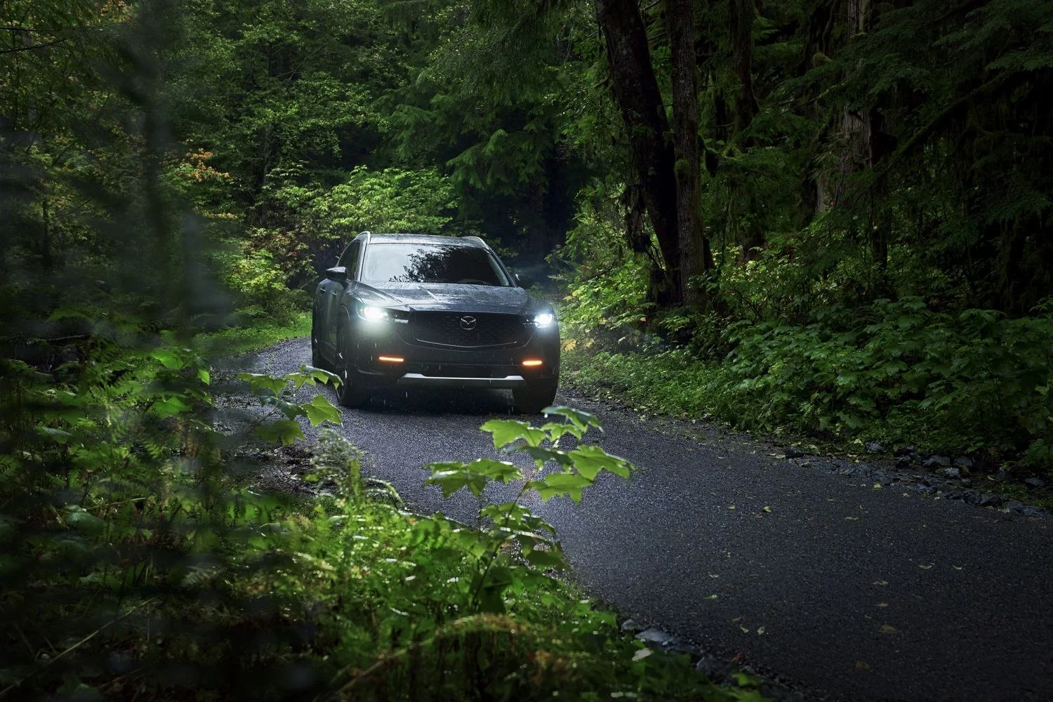 Mazda CX-50 2.5 (219 Hp) Hybrid eAWD eCVT2024 - thumbnail 3