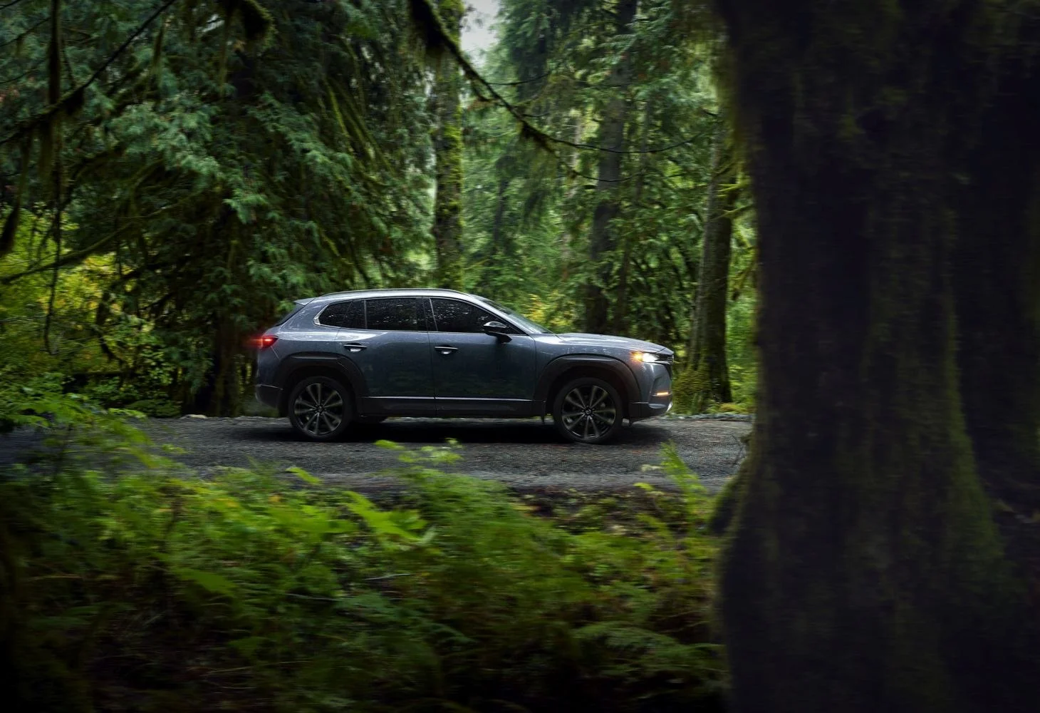 Mazda CX-50 2.5 (219 Hp) Hybrid eAWD eCVT2024 - thumbnail 4
