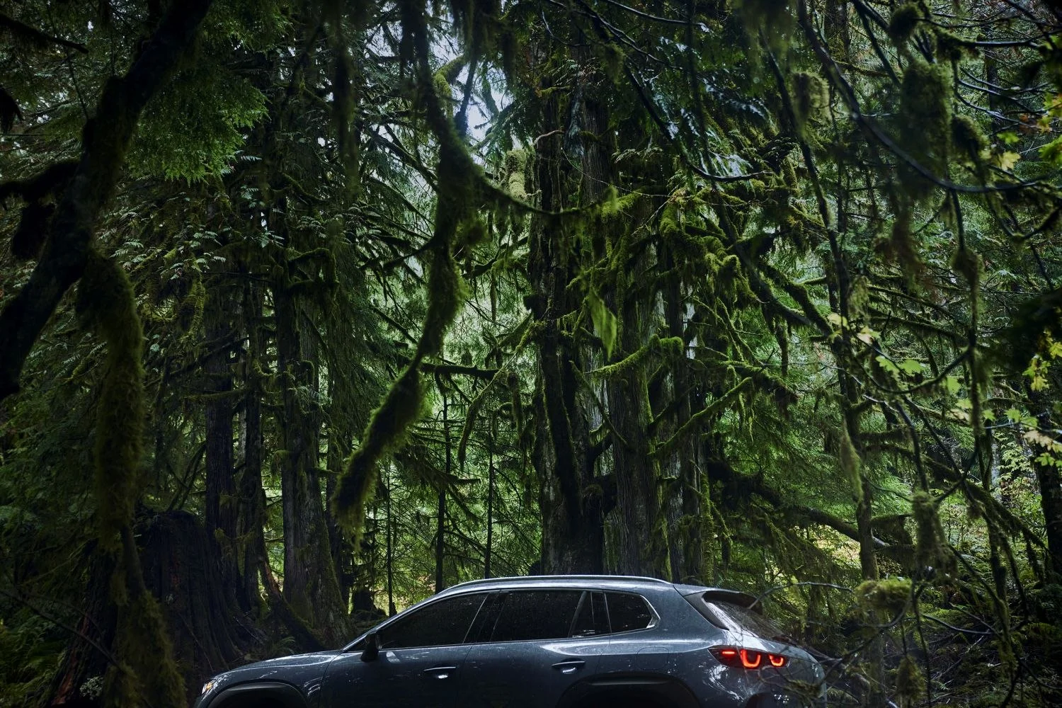 Mazda CX-50 2.5 (219 Hp) Hybrid eAWD eCVT2024 - thumbnail 7