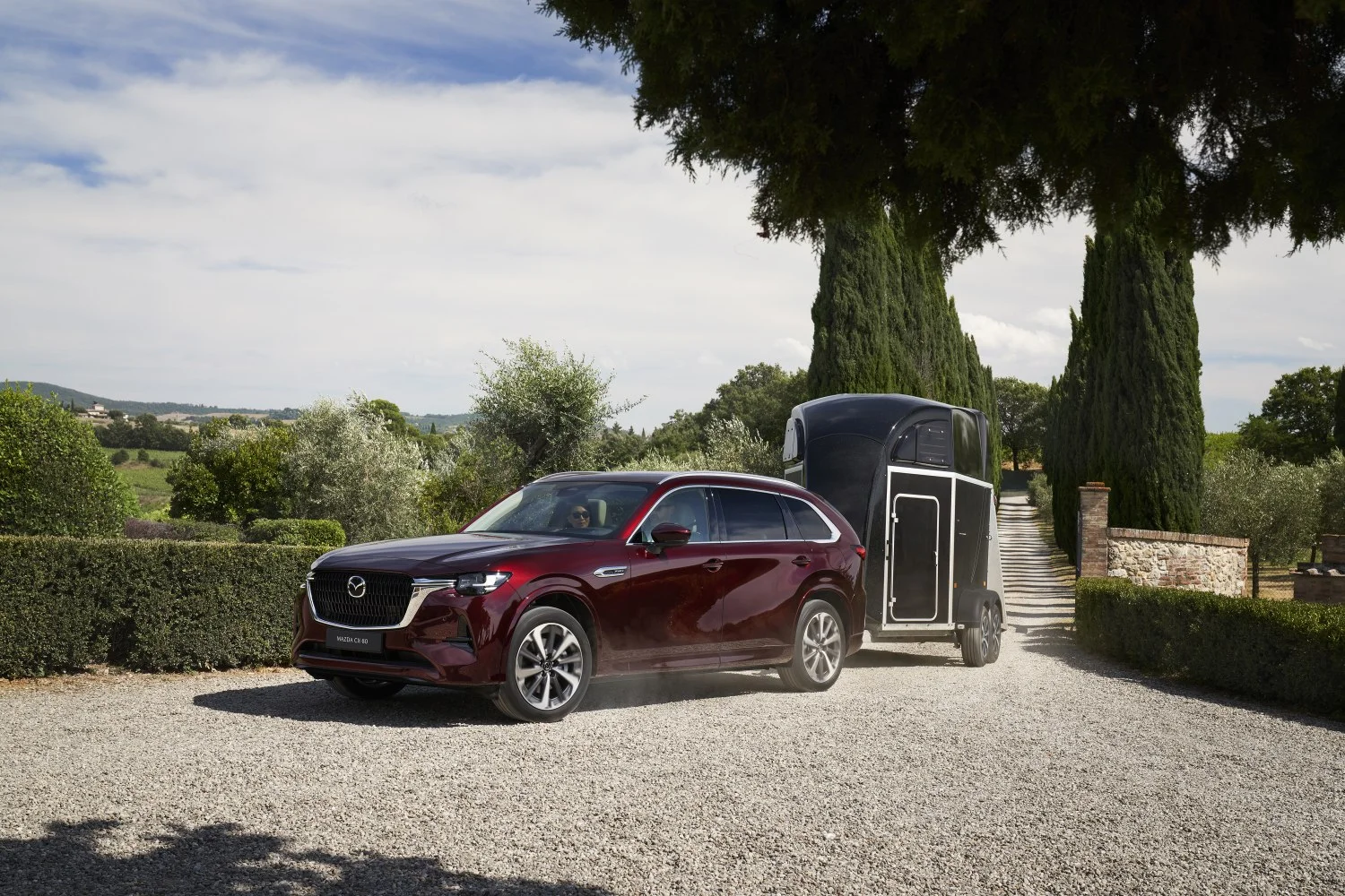 Mazda CX-80 2.5 e-Skyactiv (327 Hp) Plug-in Hybrid i-ACTIV AWD Automatic2024 - thumbnail 10