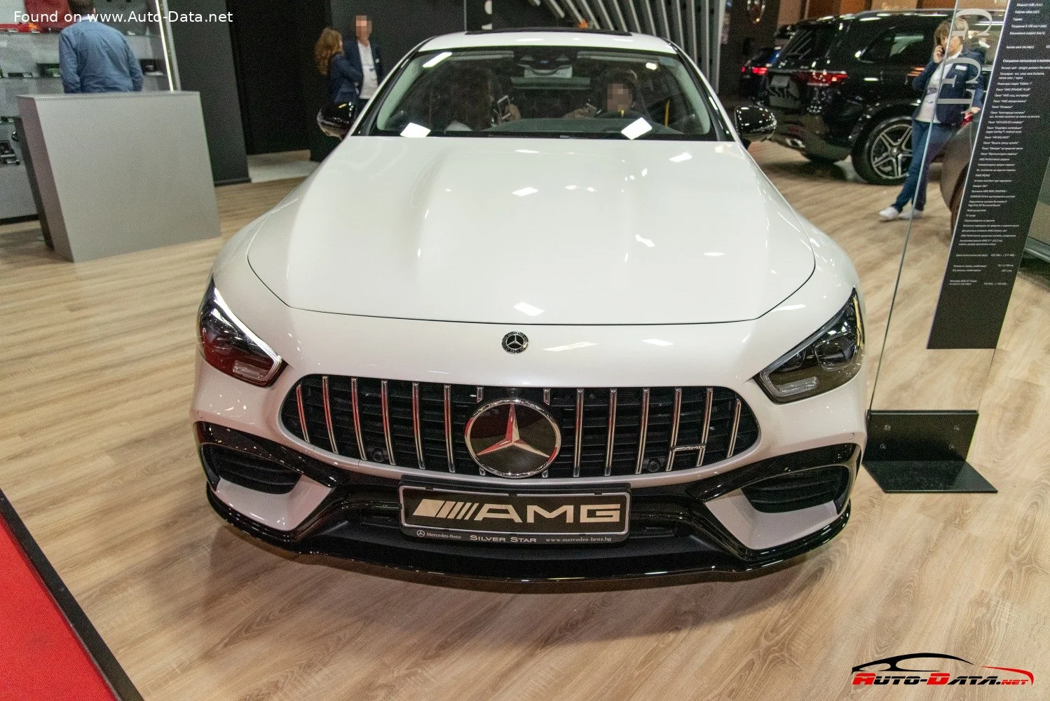 Mercedes-Benz AMG GT 4-Door Coupe 43 (367 Hp) EQ Boost 4MATIC+ AMG SPEEDSHIFT TCT 9G2018 - thumbnail 3