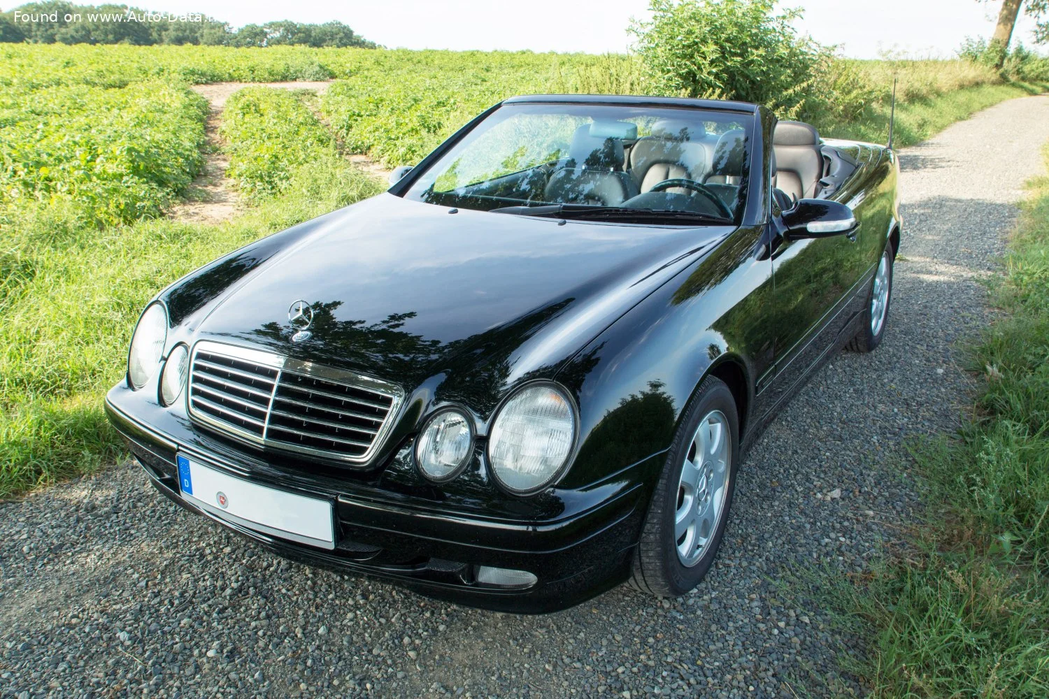 Mercedes-Benz CLK AMG CLK 55 V8 (347 Hp) 5G-TRONIC1999 - 2002 thumbnail 3