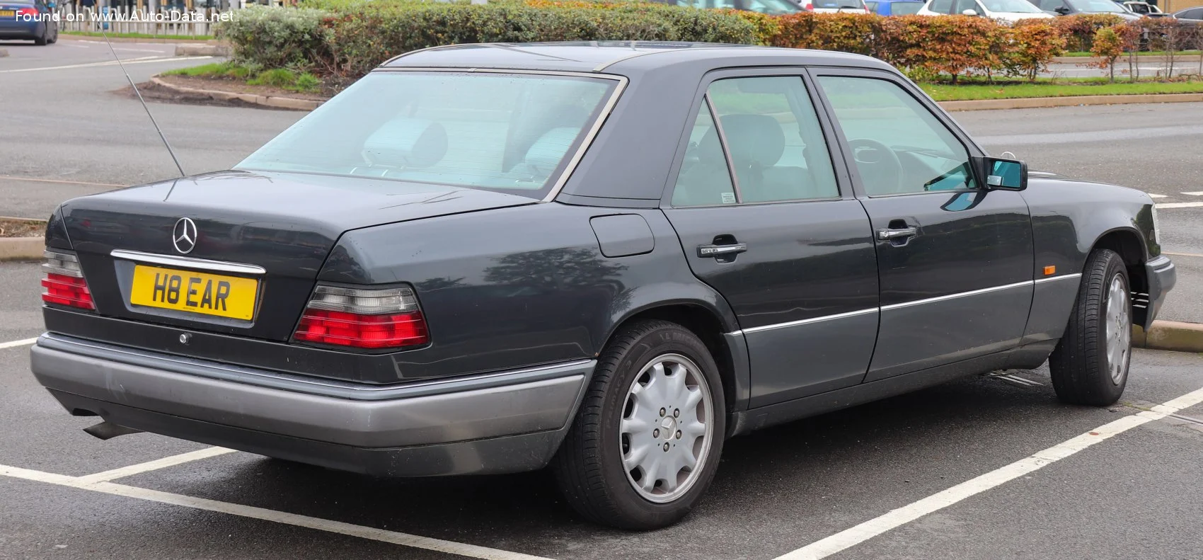 Mercedes-Benz E-class AMG E 36 (272 Hp)1994 - 1995 thumbnail 2