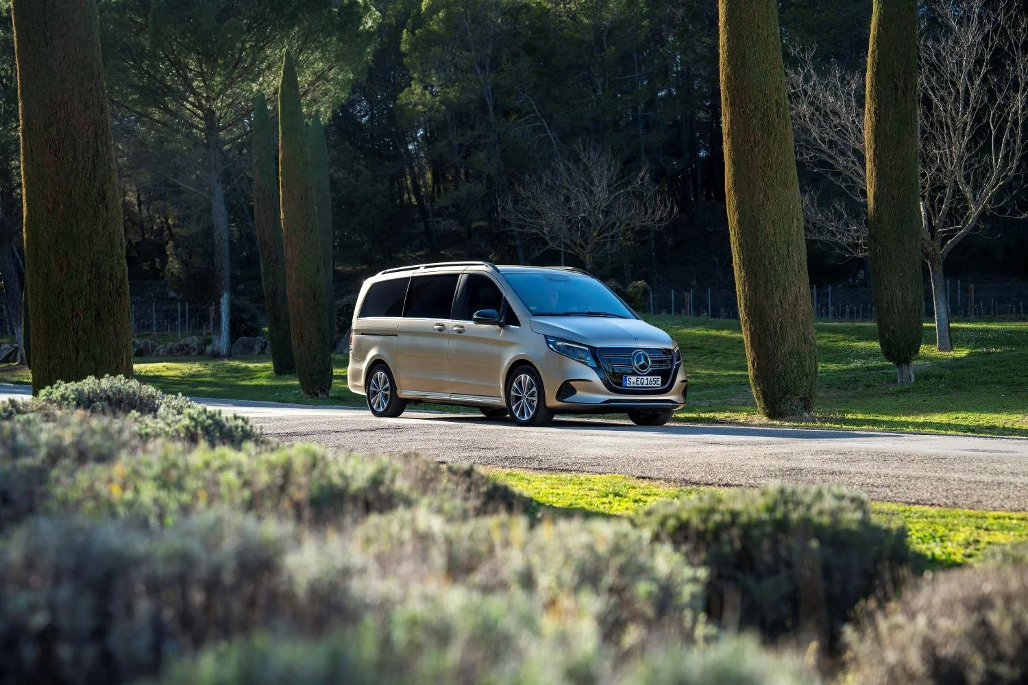 Mercedes-Benz EQV EQV 250 66 kWh (204 Hp)2024 - thumbnail 16