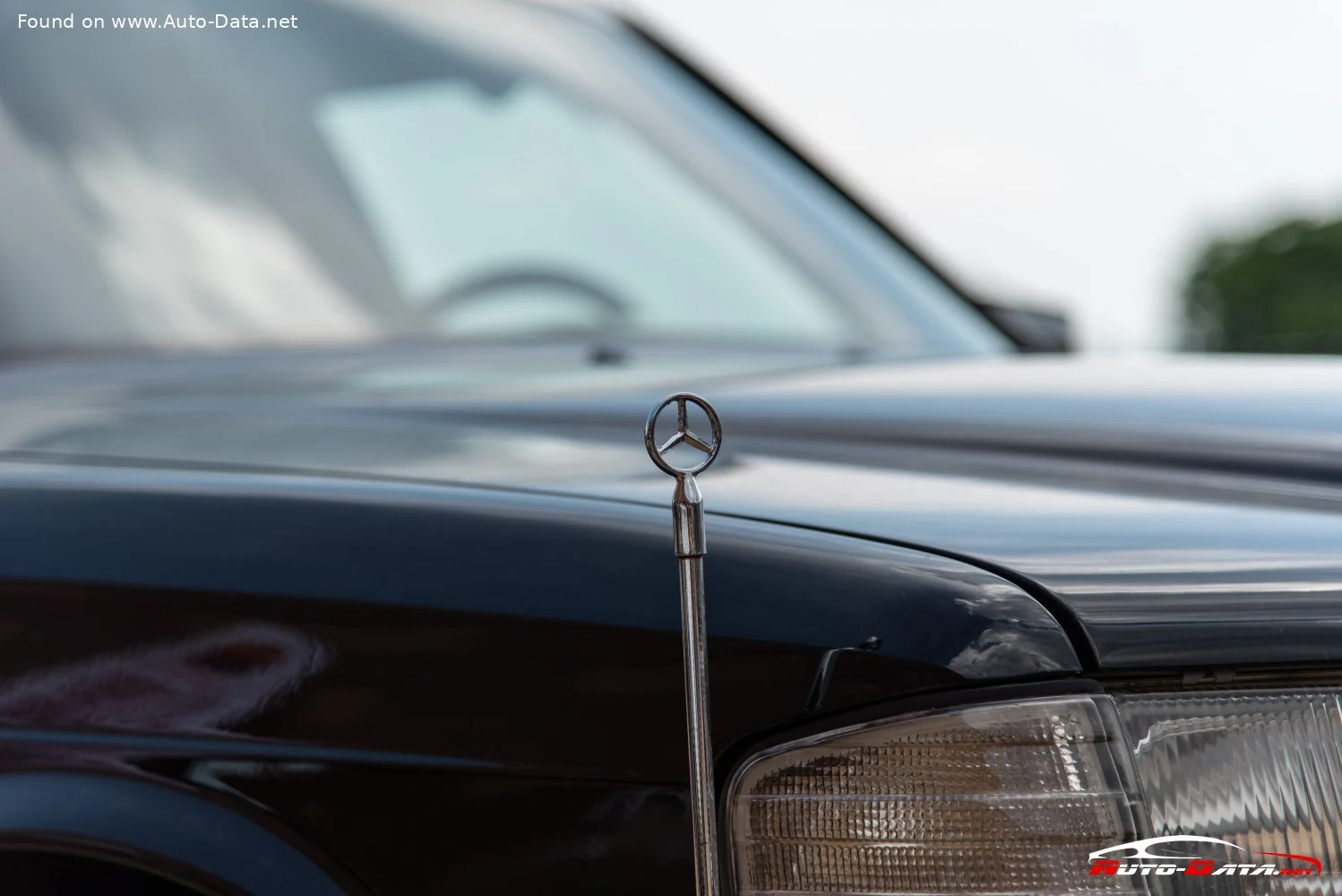 Mercedes-Benz S-class 280 SEL (185 Hp)1979 - 1985 thumbnail 3