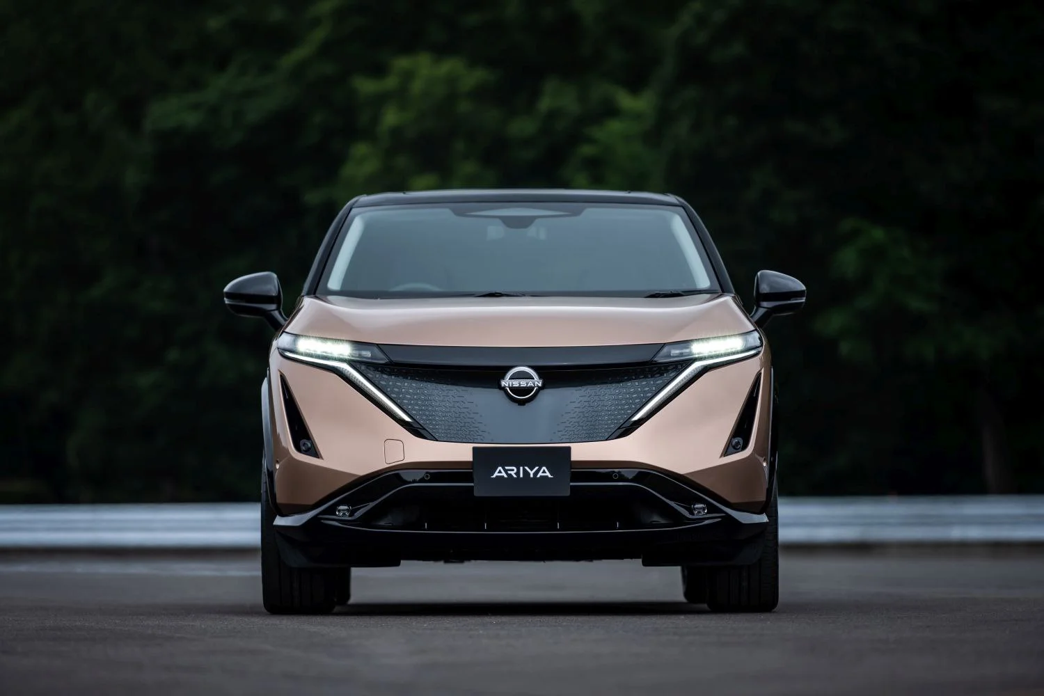 Nissan Ariya 65 kWh (218 Hp)2021 - - 1