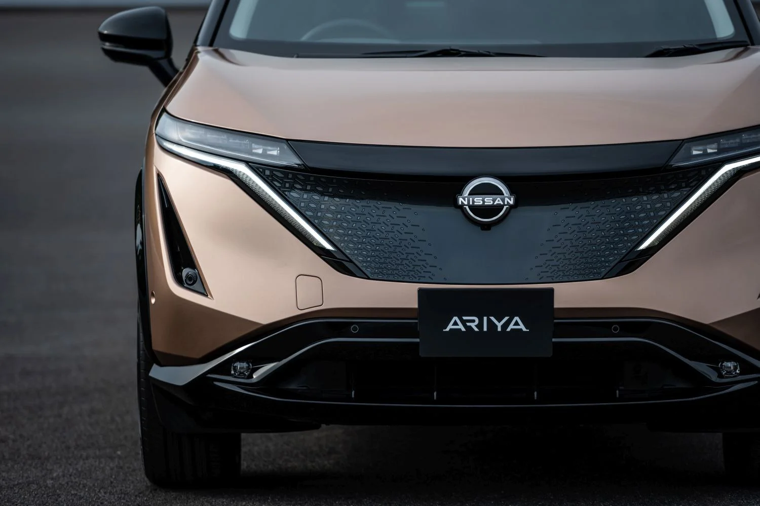 Nissan Ariya 65 kWh (218 Hp)2021 - thumbnail 15
