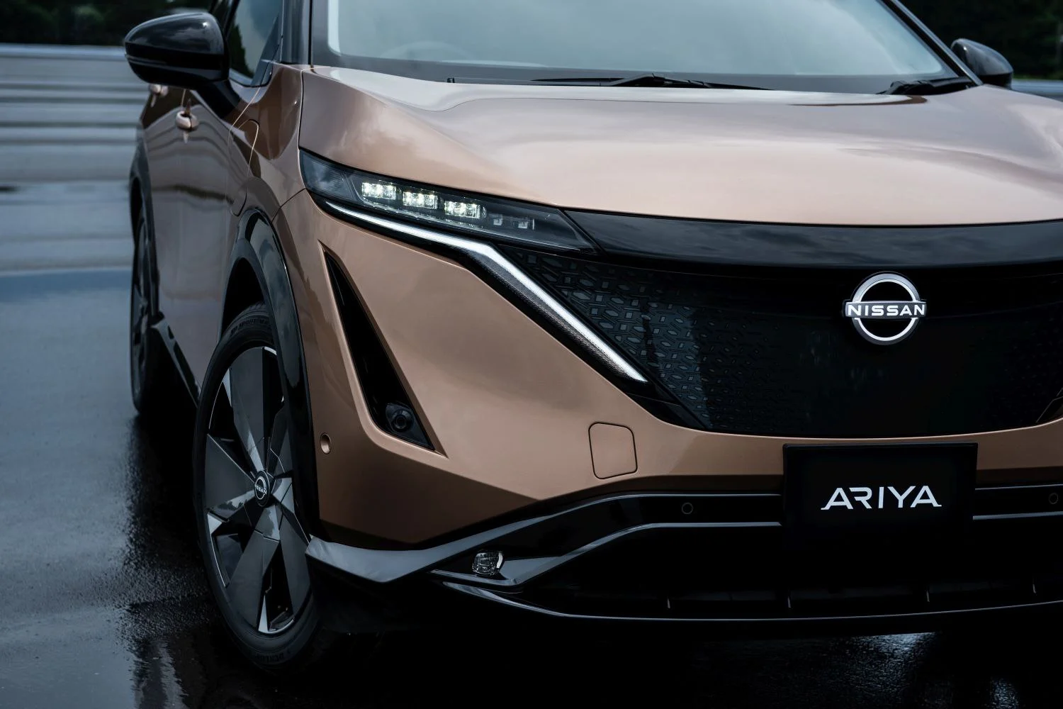Nissan Ariya 65 kWh (218 Hp)2021 - thumbnail 17