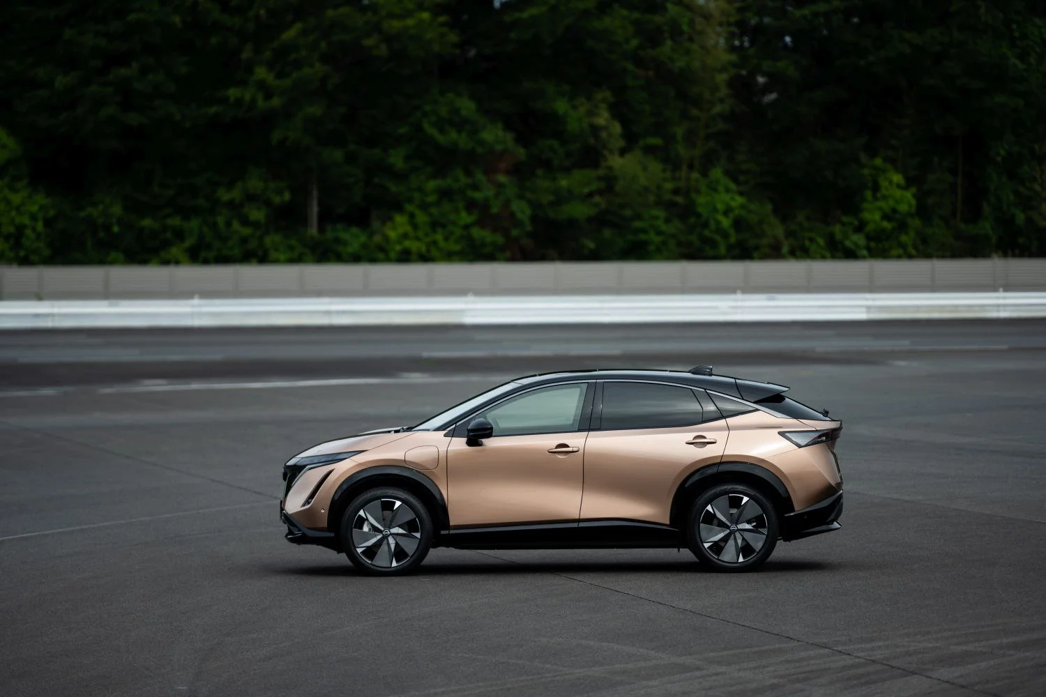 Nissan Ariya 65 kWh (218 Hp)2021 - thumbnail 18
