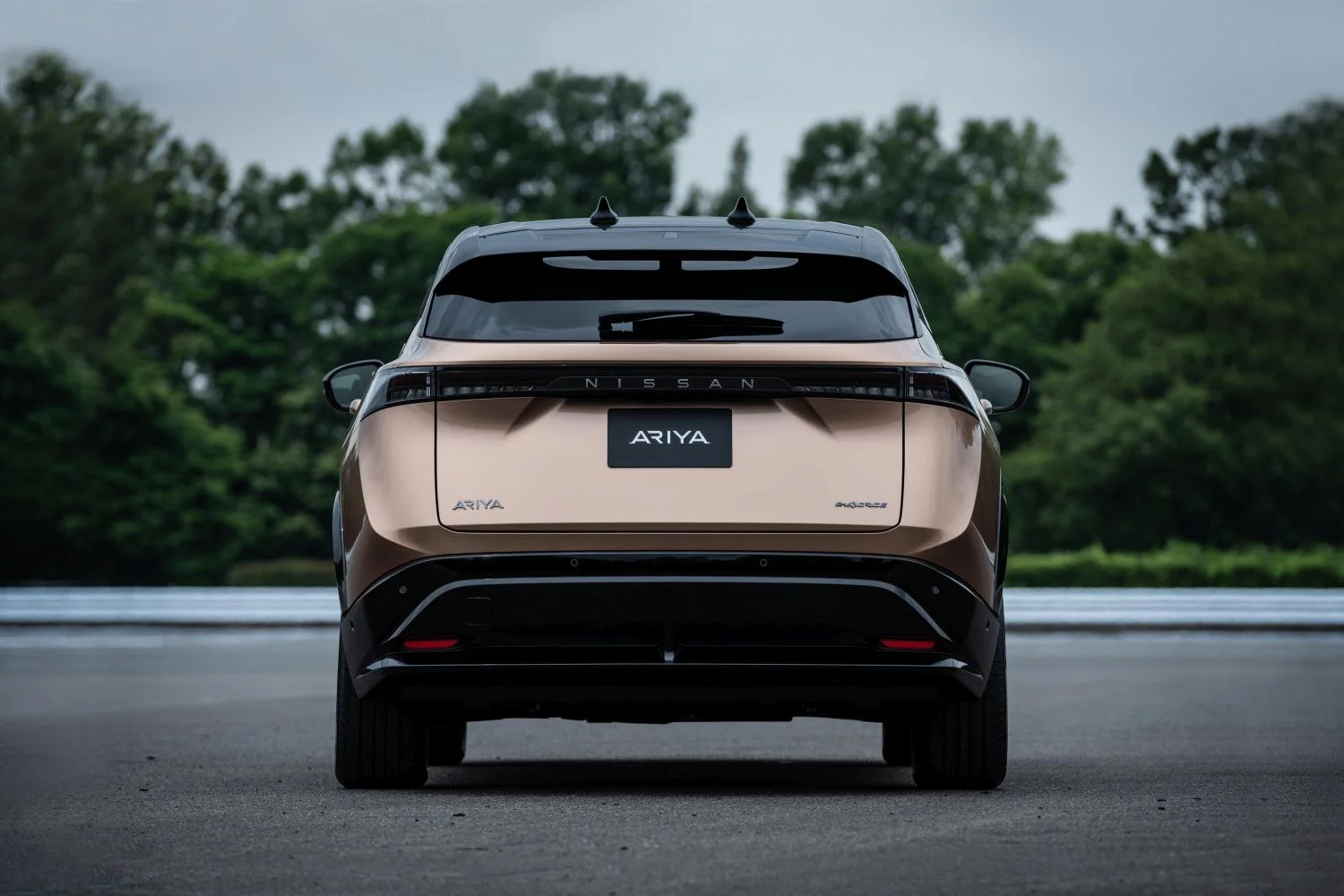 Nissan Ariya 65 kWh (218 Hp)2021 - thumbnail 3