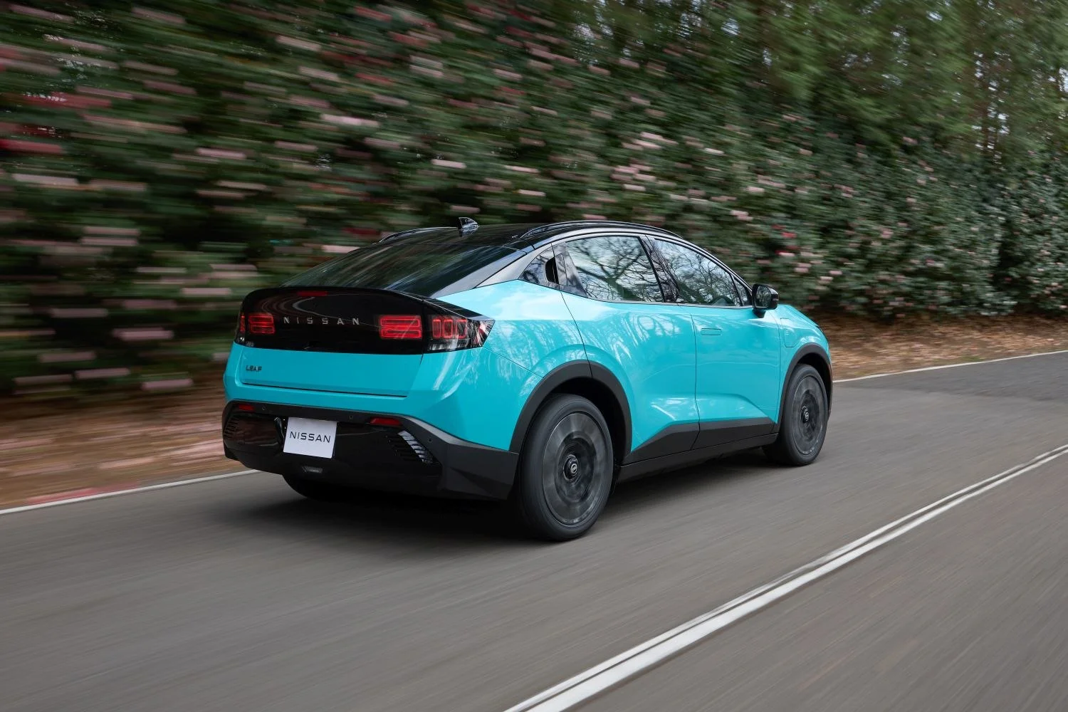 Nissan Leaf 52 kWh (177 Hp)2025 - thumbnail 11