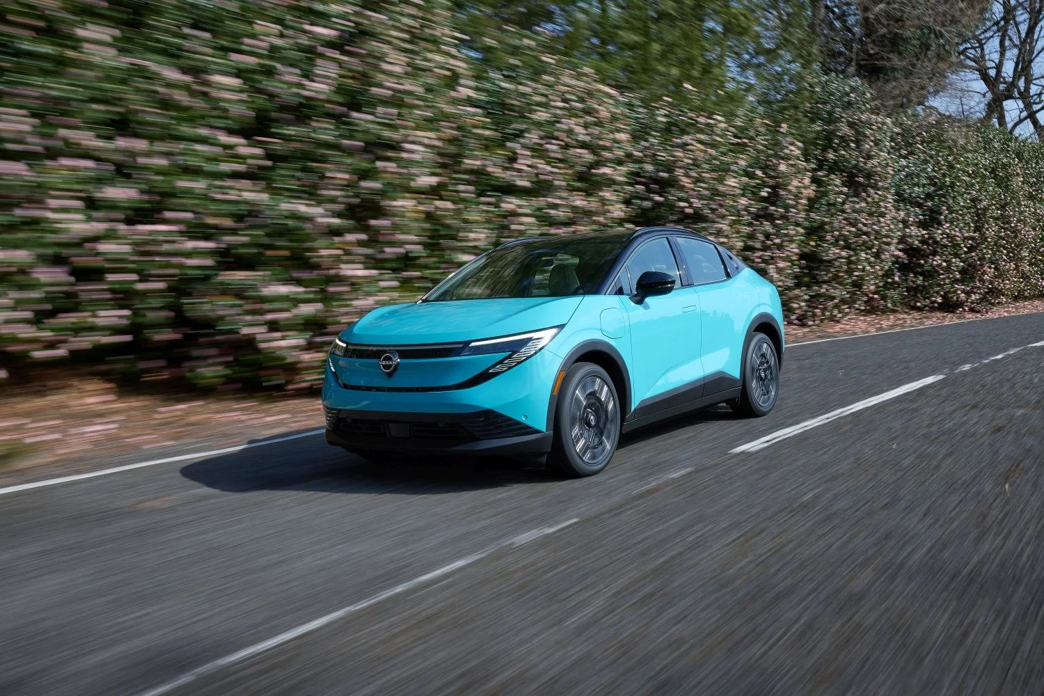 Nissan Leaf 52 kWh (177 Hp)2025 - thumbnail 9