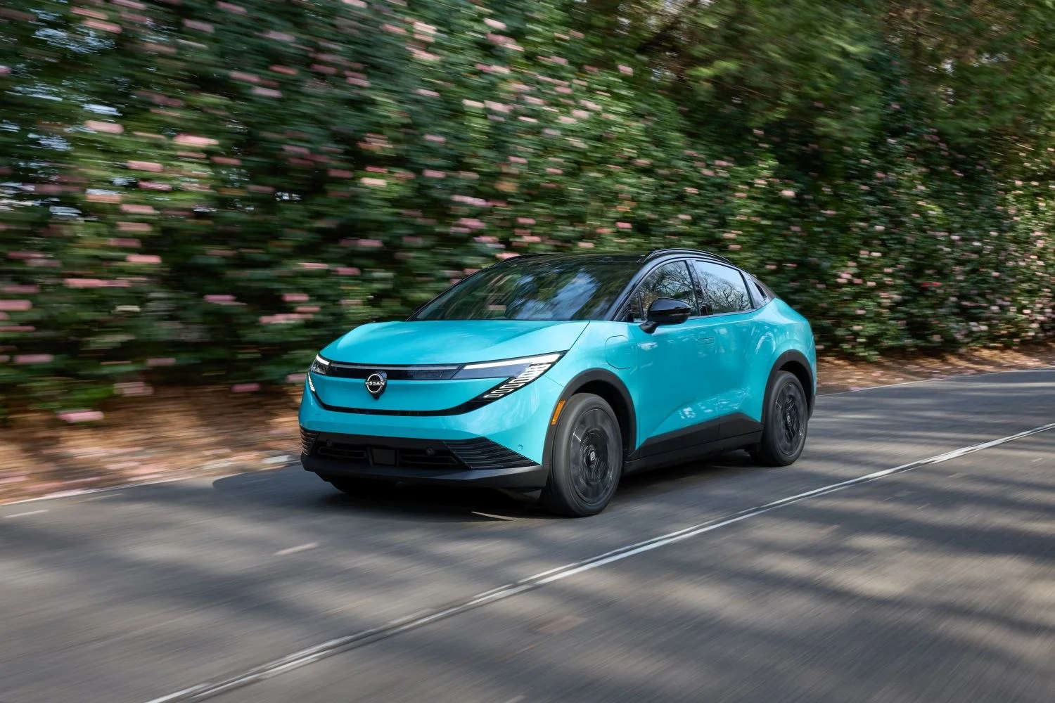 Nissan Leaf 52 kWh (177 Hp)2025 - thumbnail 10