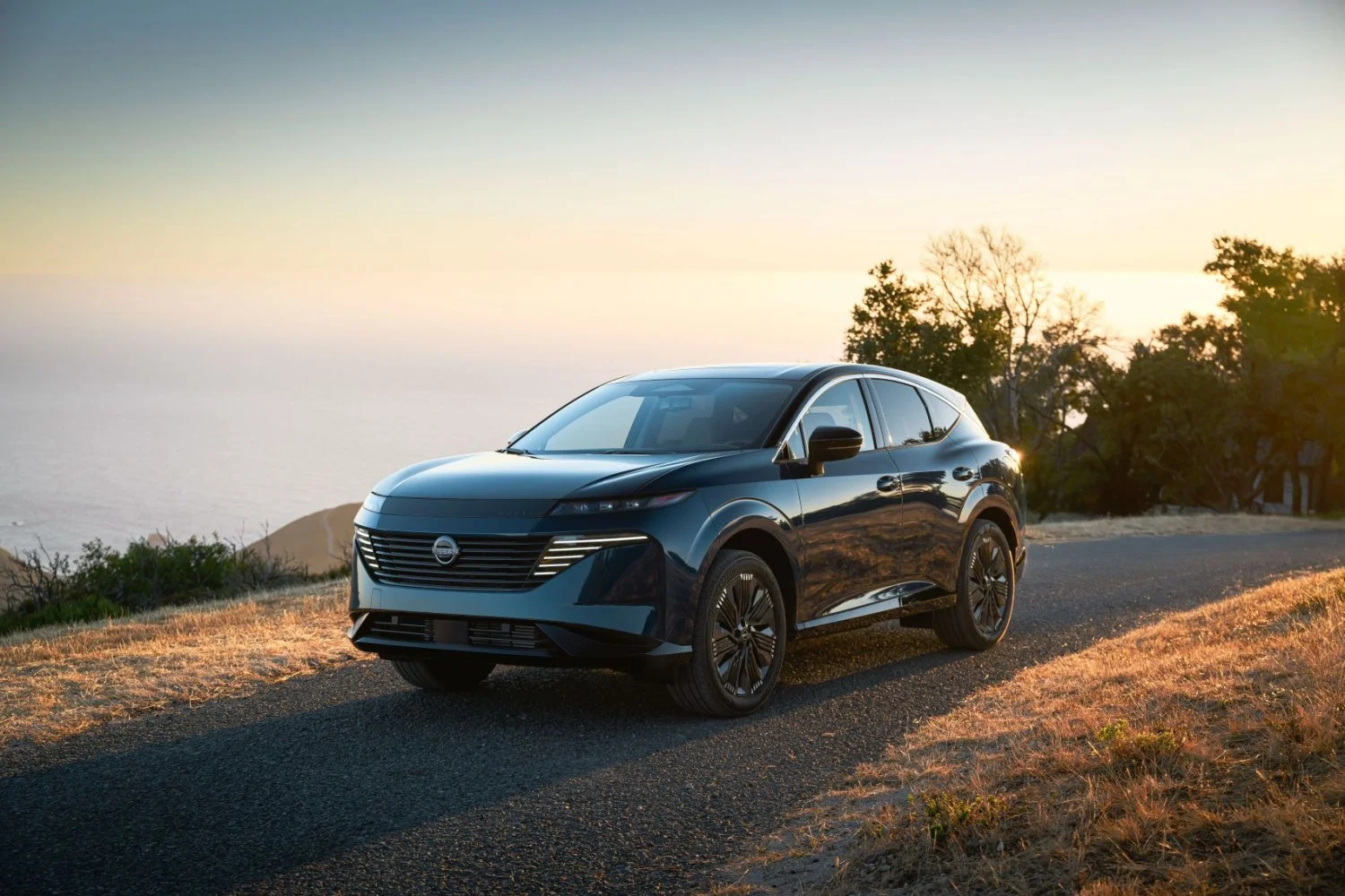 Nissan Murano 2.0 VC-Turbo (241 Hp) Automatic2024 - thumbnail 3