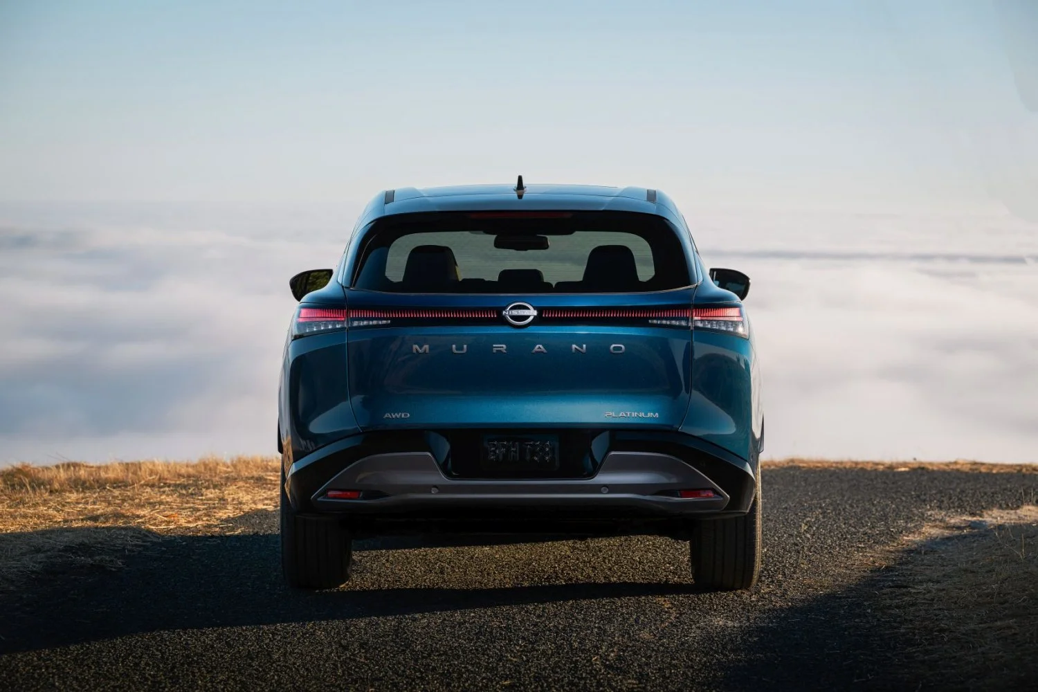 Nissan Murano 2.0 VC-Turbo (241 Hp) Automatic2024 - thumbnail 8