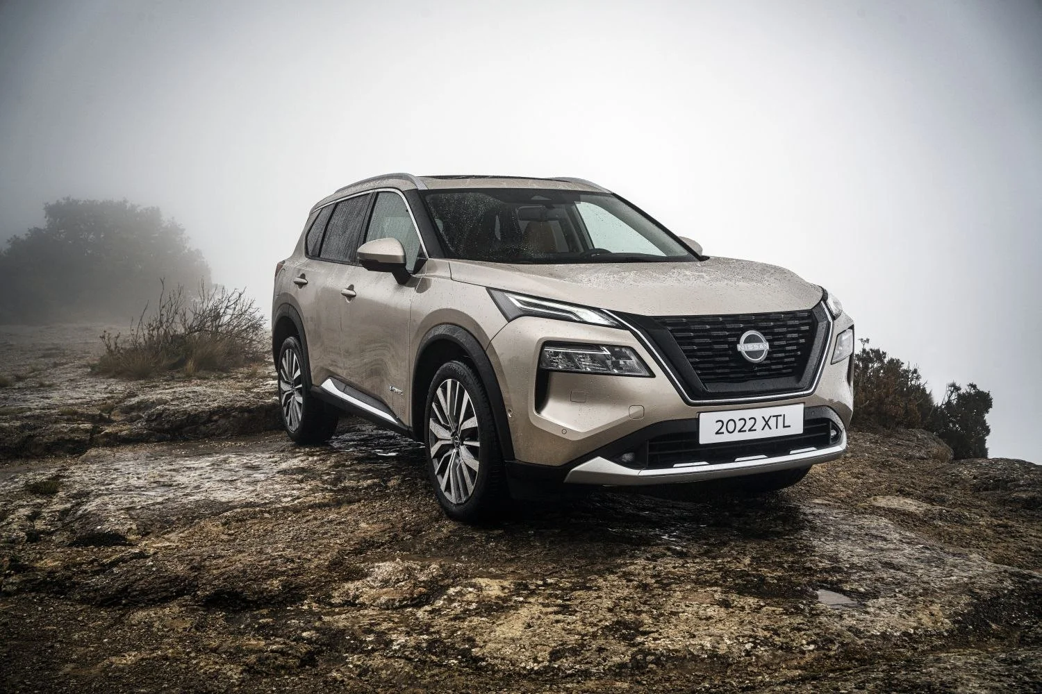 Nissan X-Trail modeli